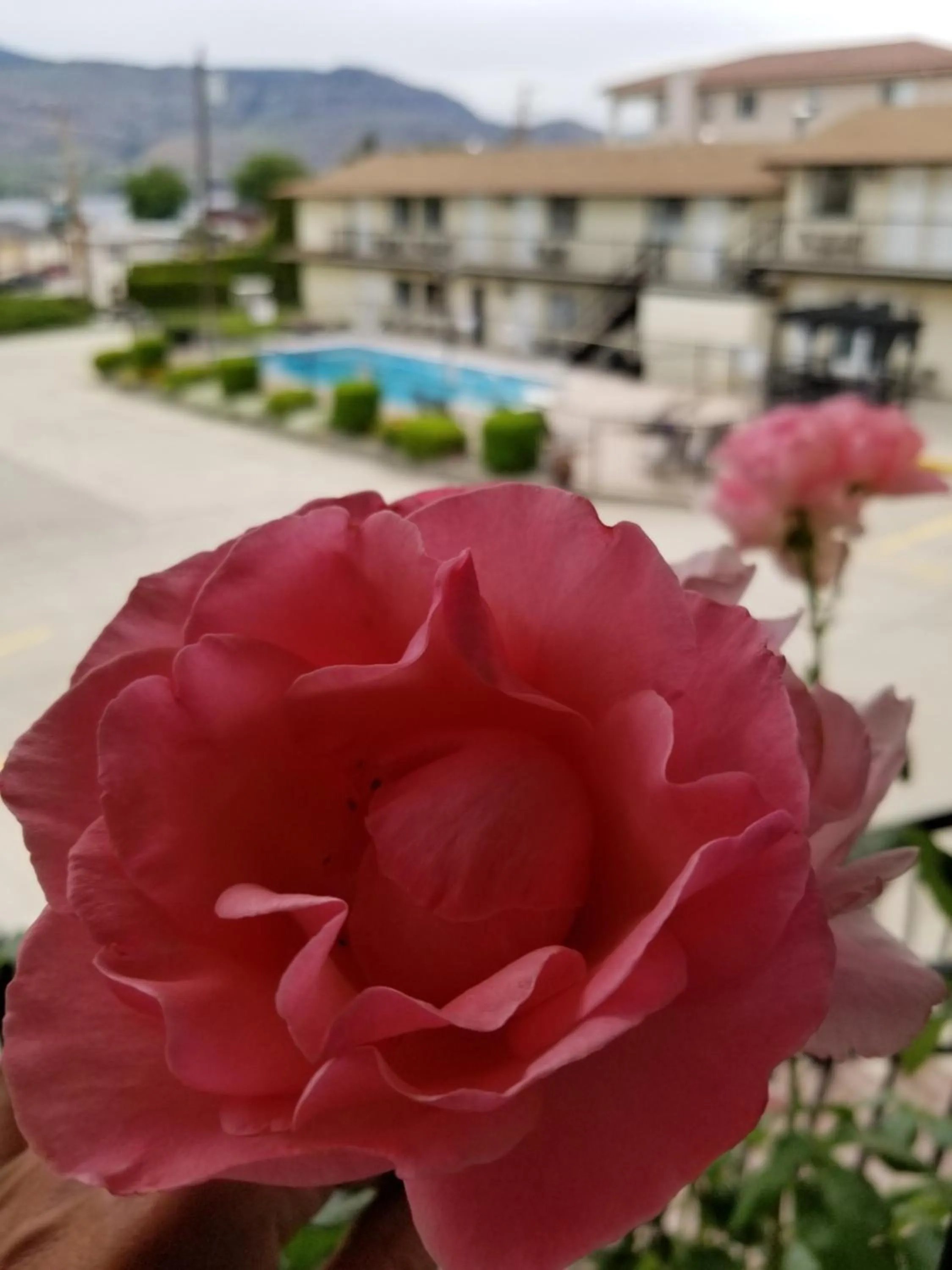 Garden in Osoyoos Lakeview Inn & Suites