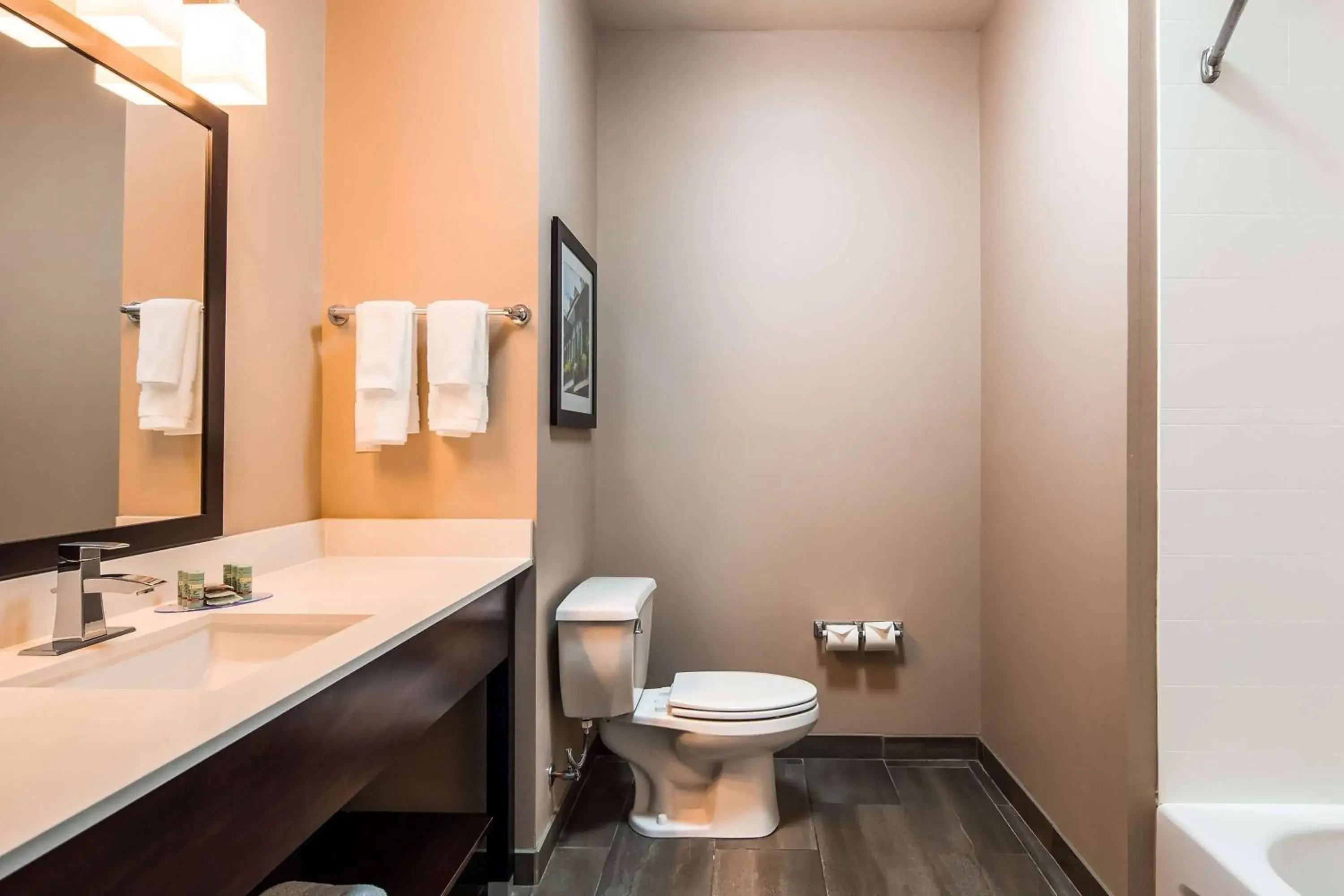 Bathroom in Wyndham Garden New Roads - False River Bathroom in Wyndham Garden New Roads - False River