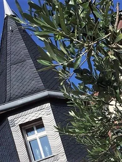 Property building in Wohnen im Burghotel