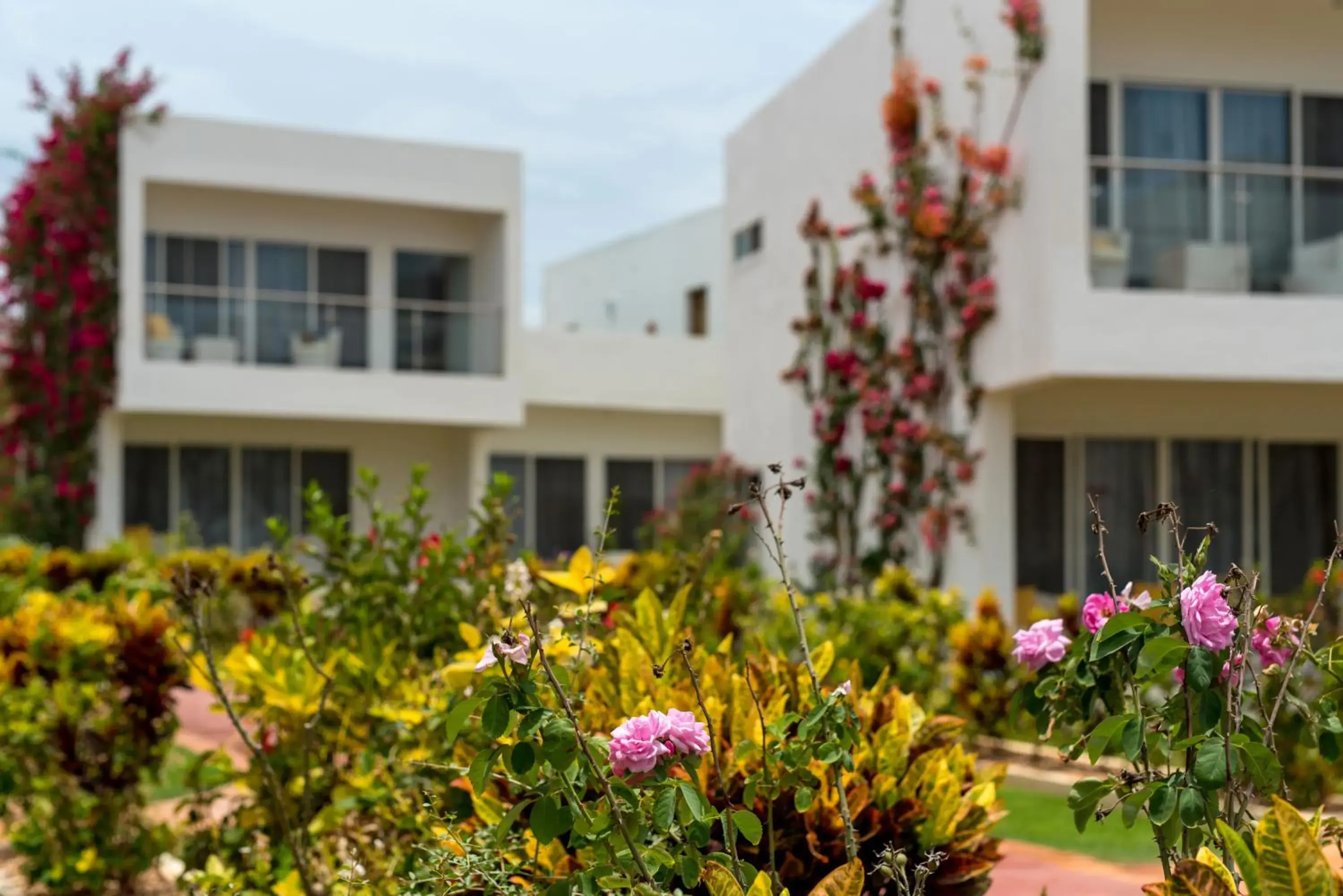 Property building in Nungwi Dreams by Mantis Property building in Nungwi Dreams by Mantis