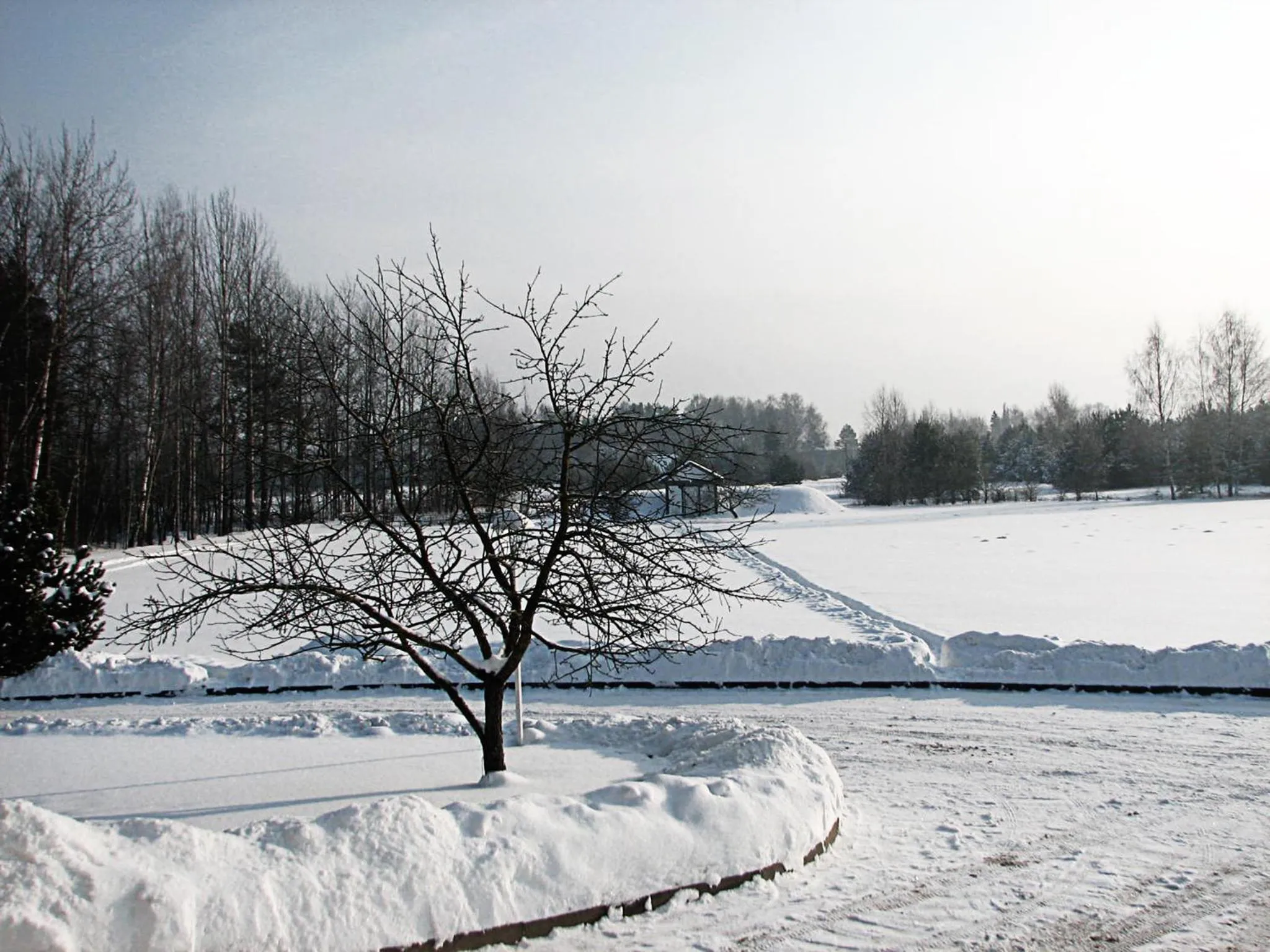 Day in Airport Hotel Mara