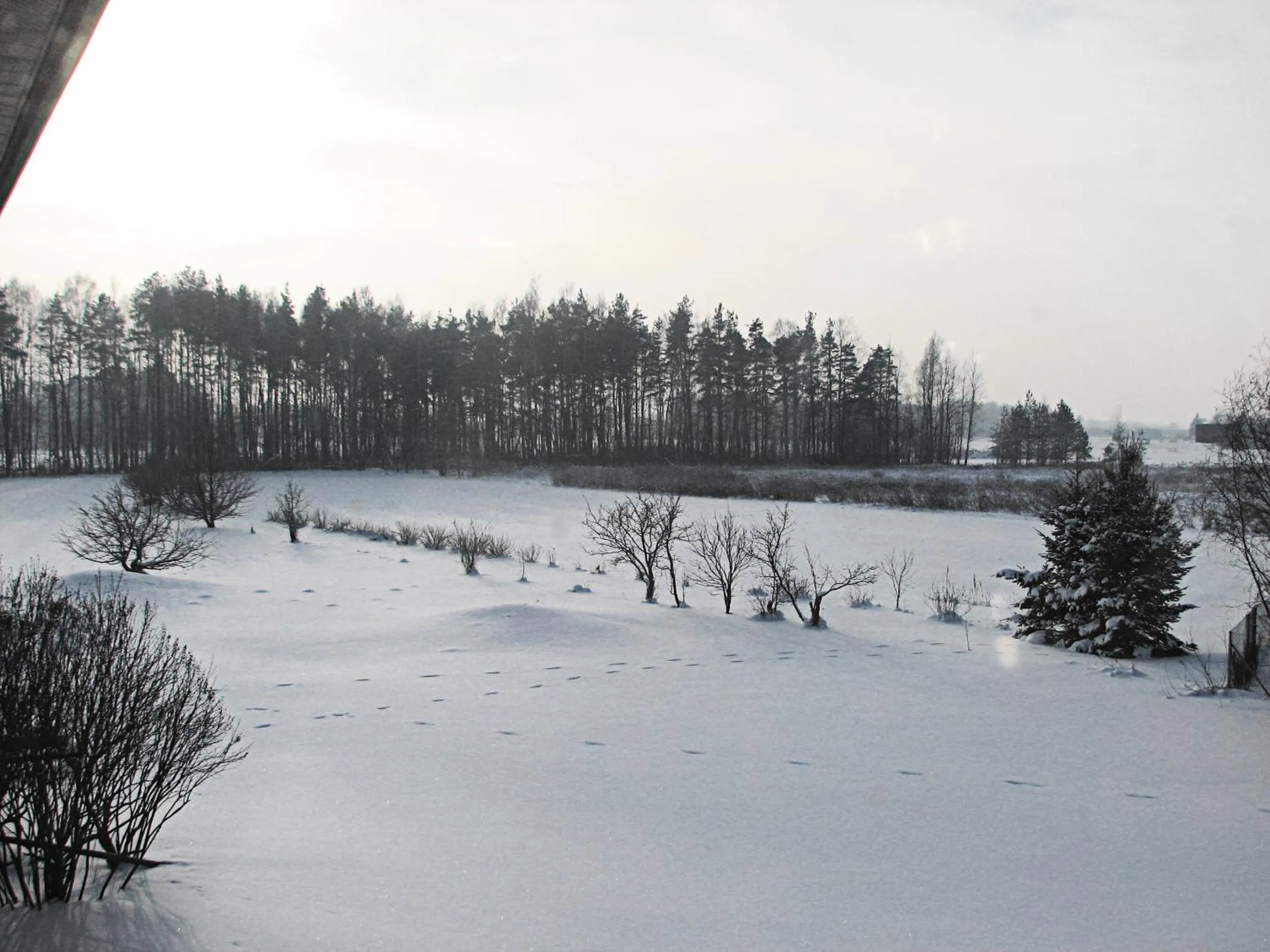 Neighbourhood in Airport Hotel Mara