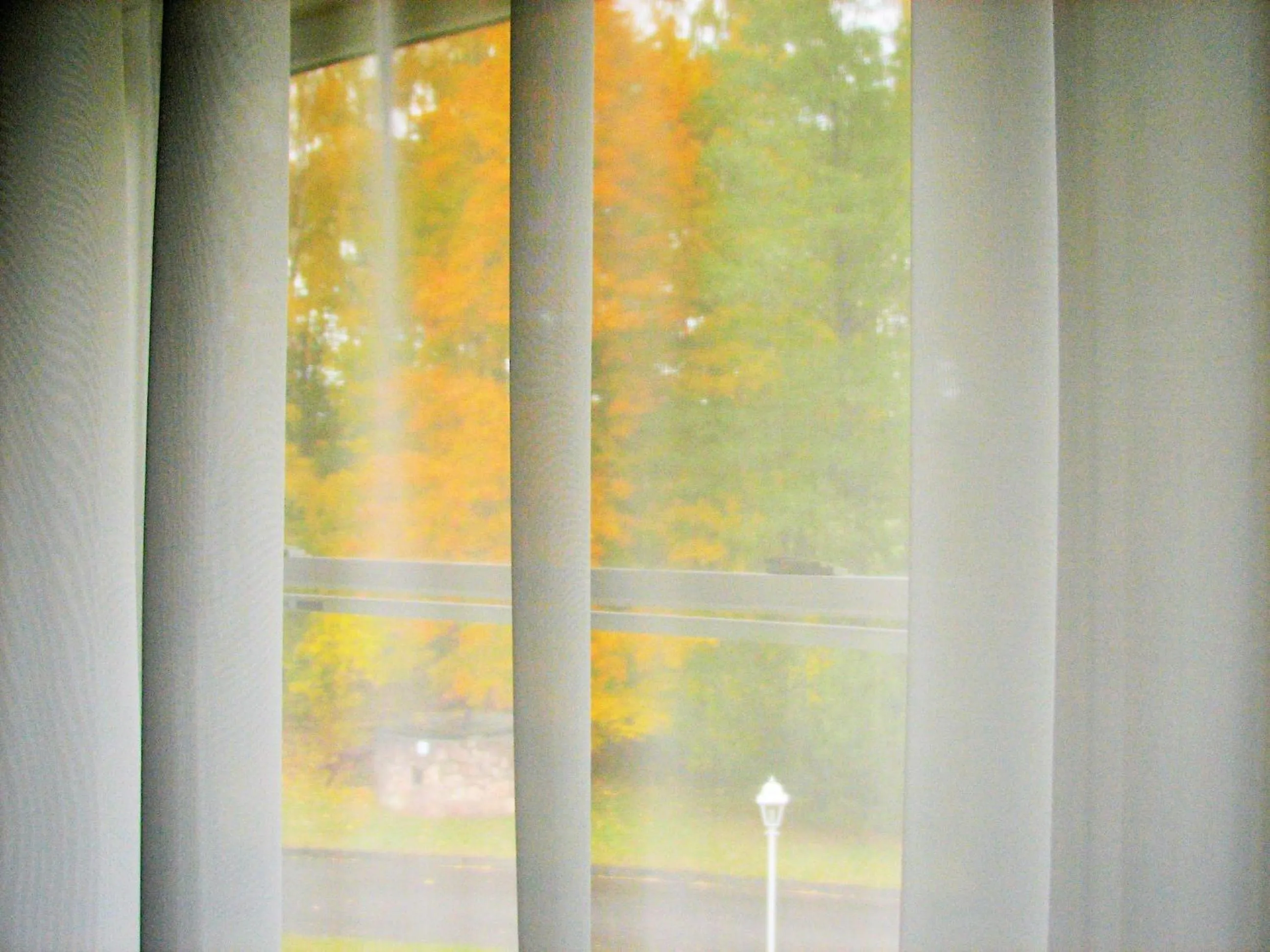 Autumn in Airport Hotel Mara