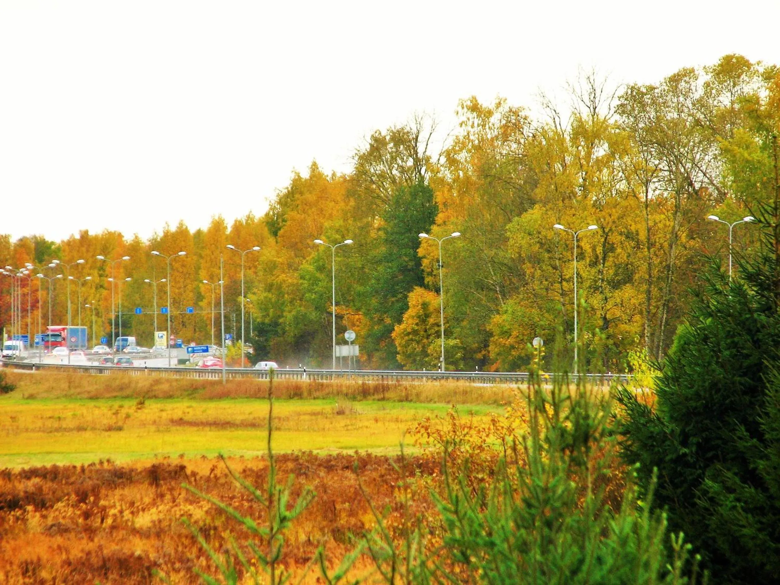 Autumn in Airport Hotel Mara