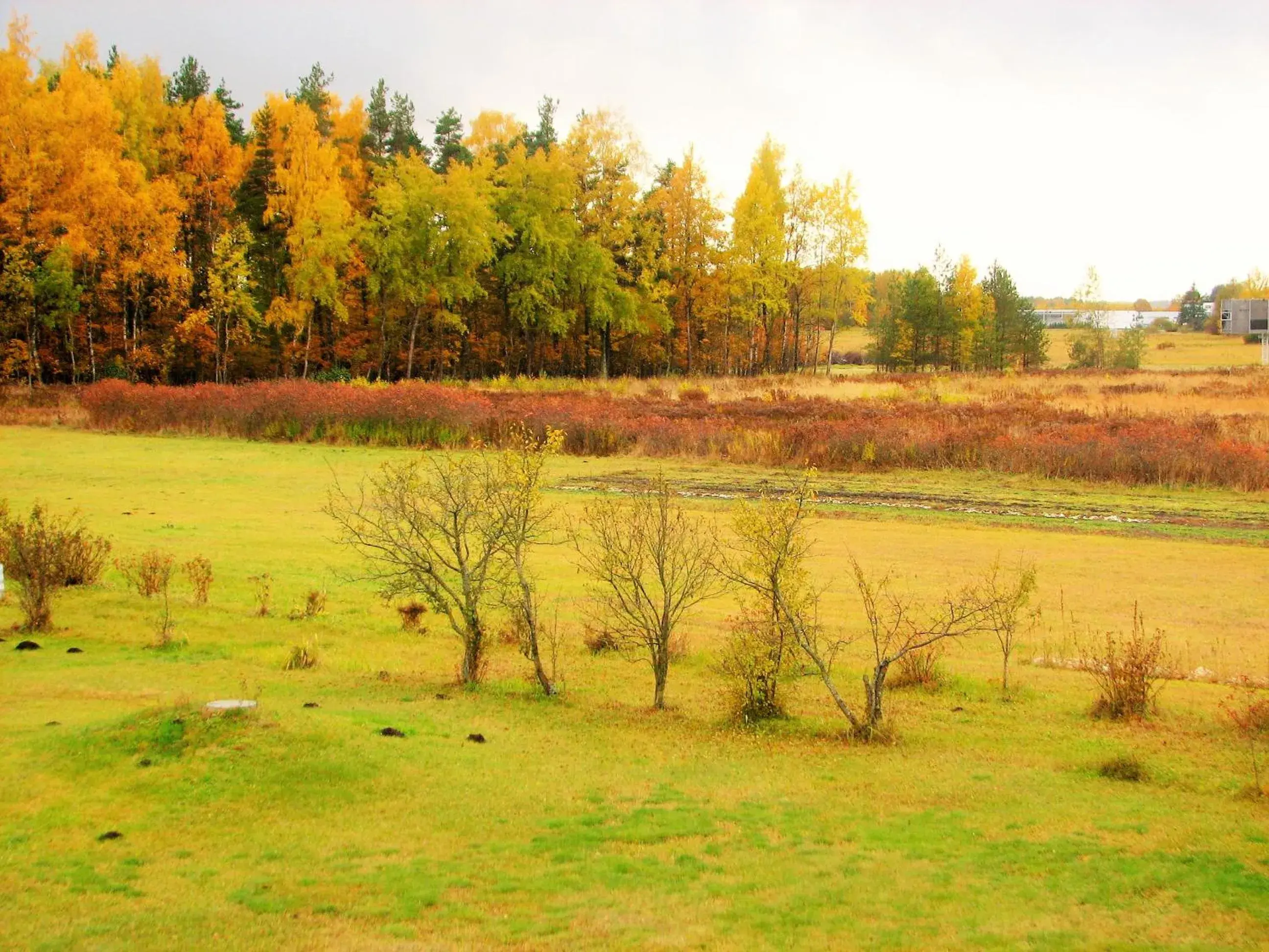 Garden view in Airport Hotel Mara Garden view in Airport Hotel Mara