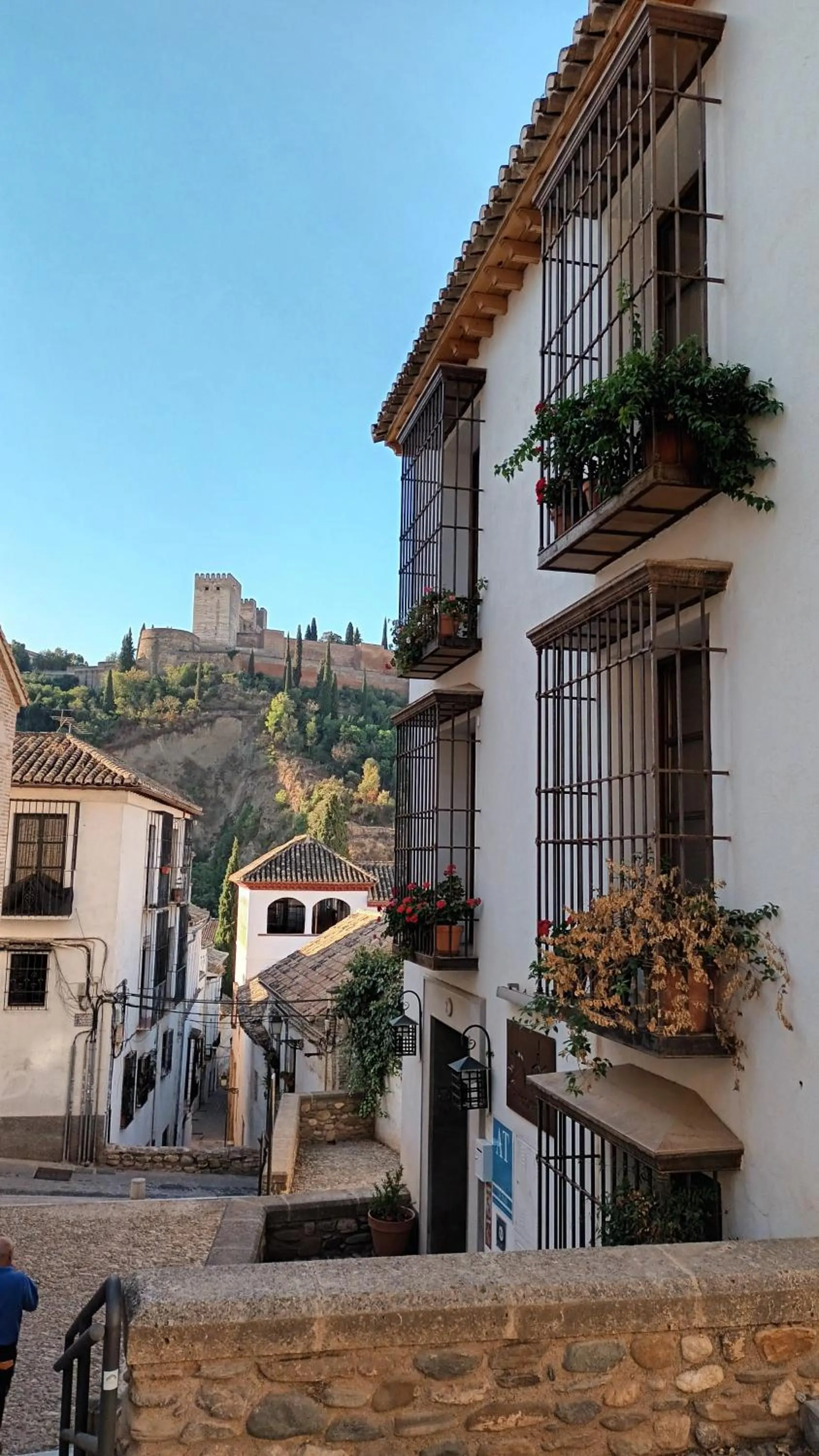 Balcony/Terrace in Apartamentos Alhambra