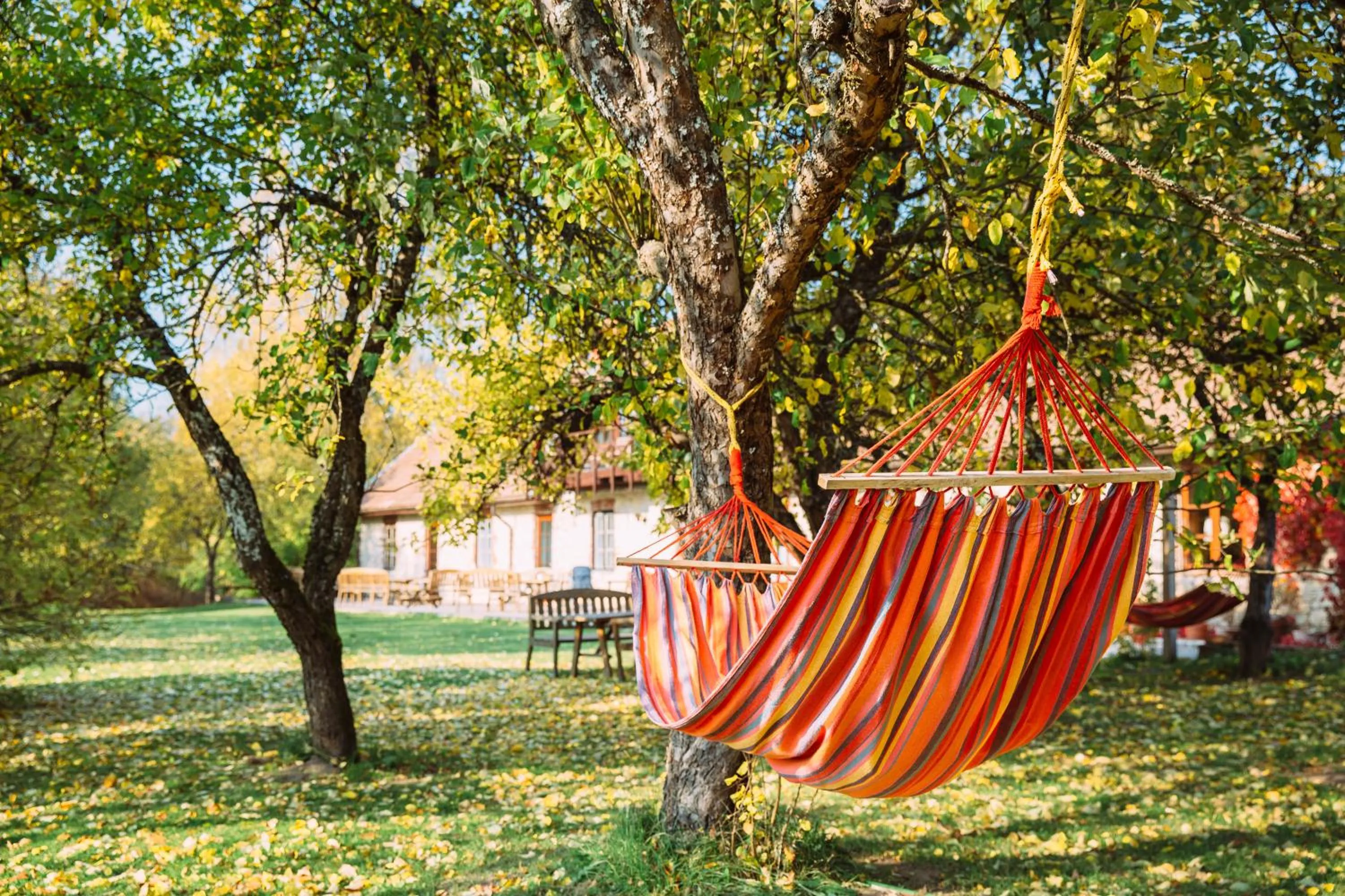 Day in Karlamuiza Country Hotel