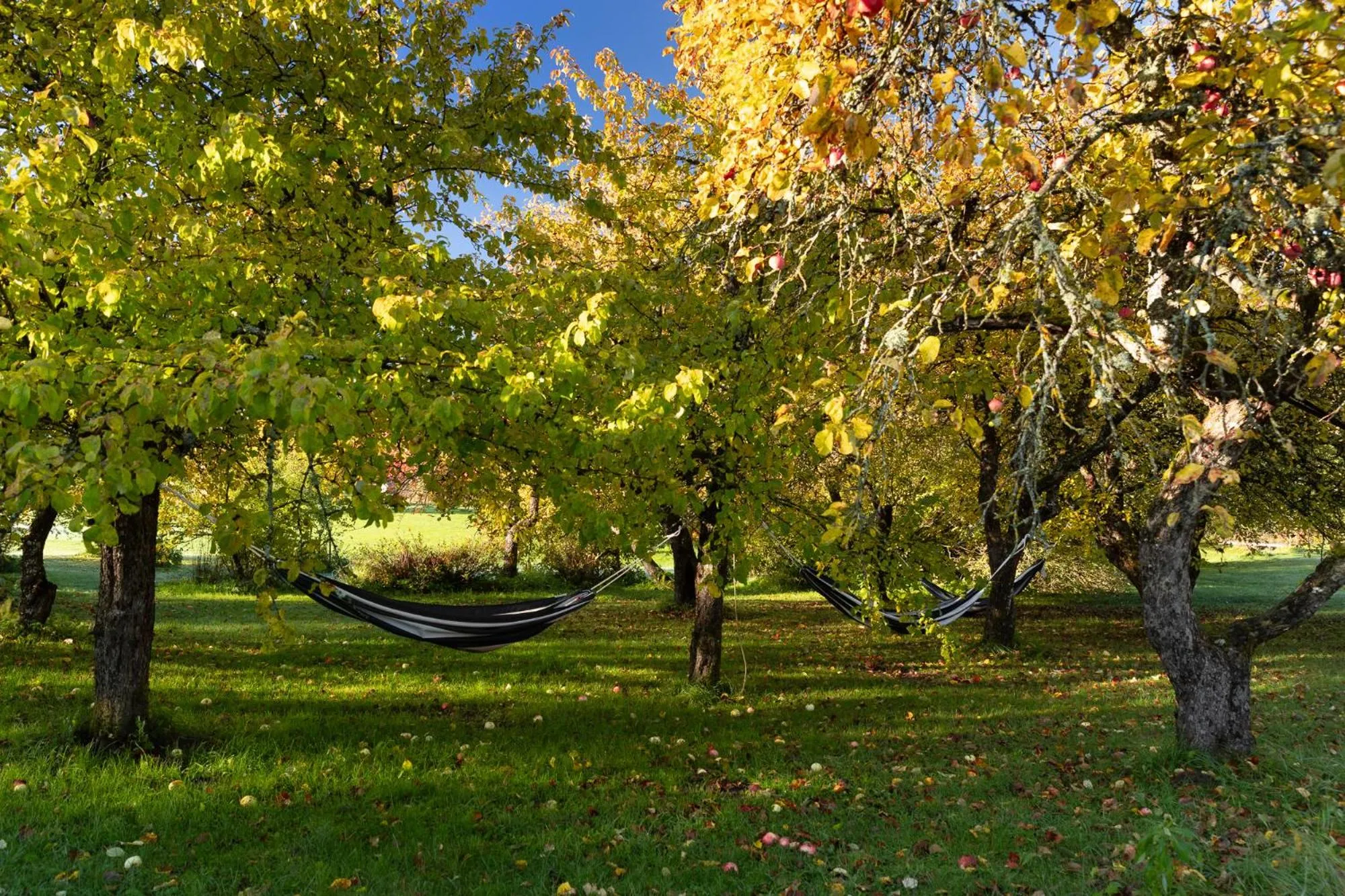 Day in Karlamuiza Country Hotel