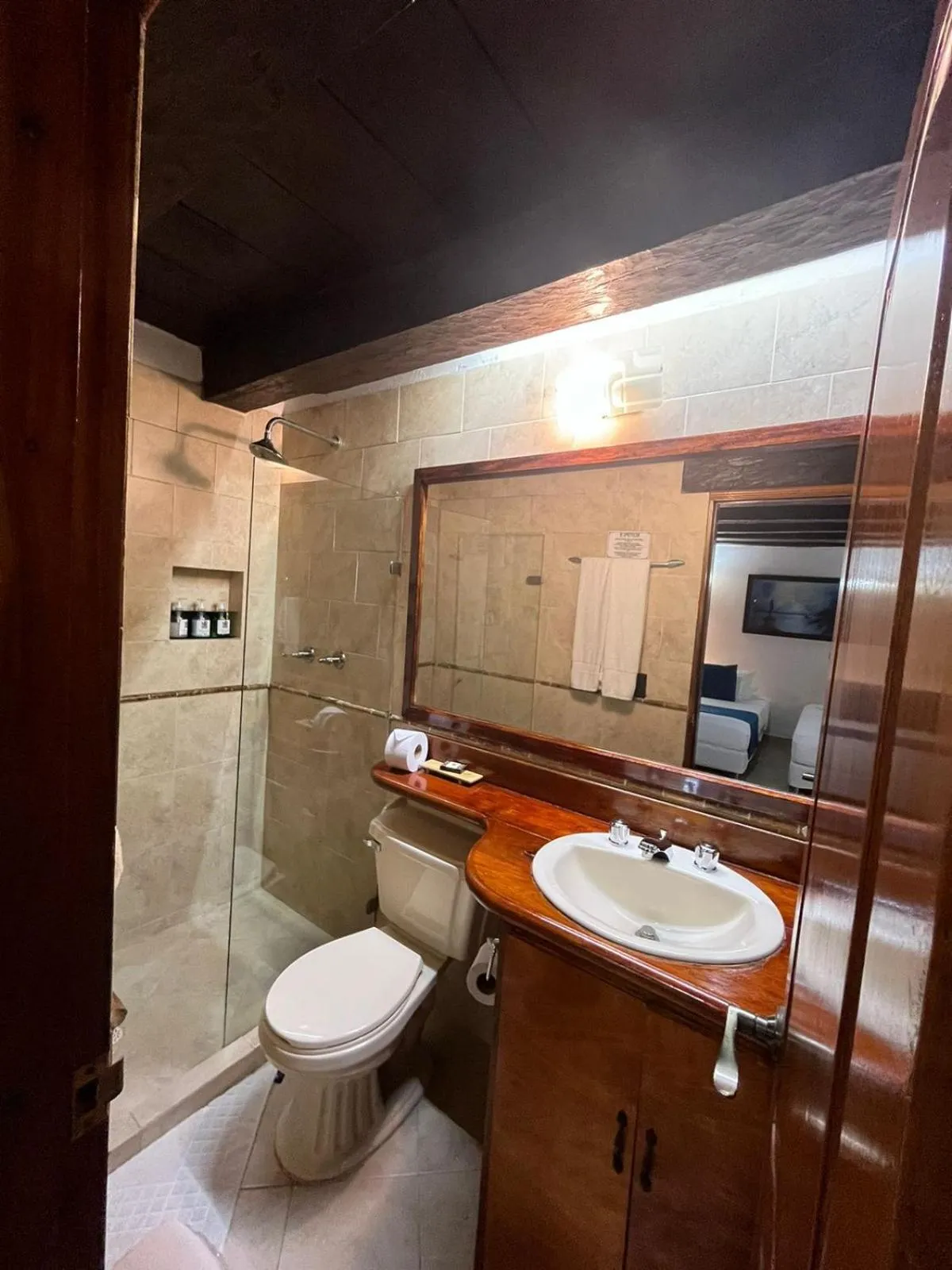 Bathroom in Hotel Don Pedro De Heredia