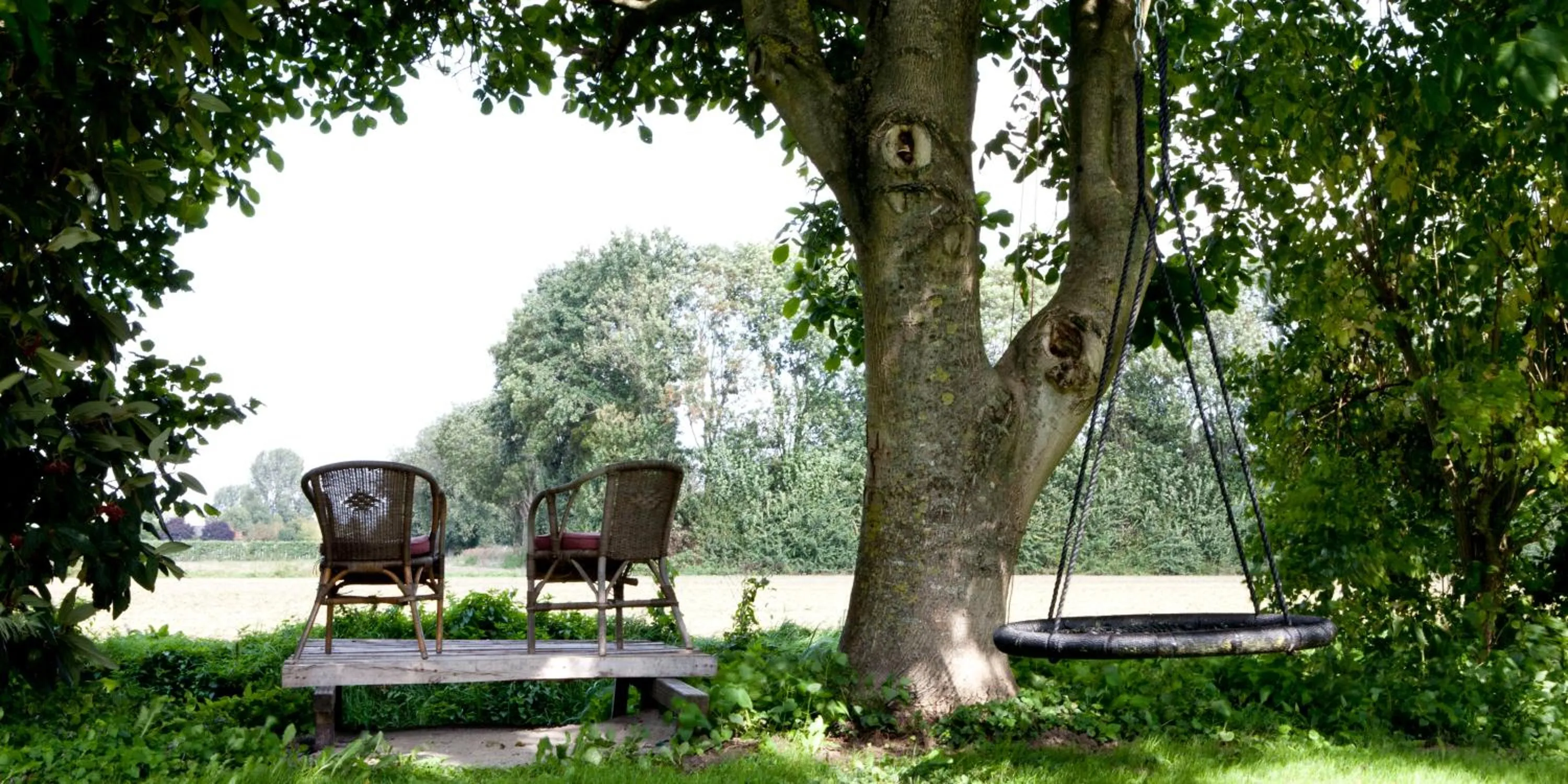 Garden in B&B De Sprokkeltuin