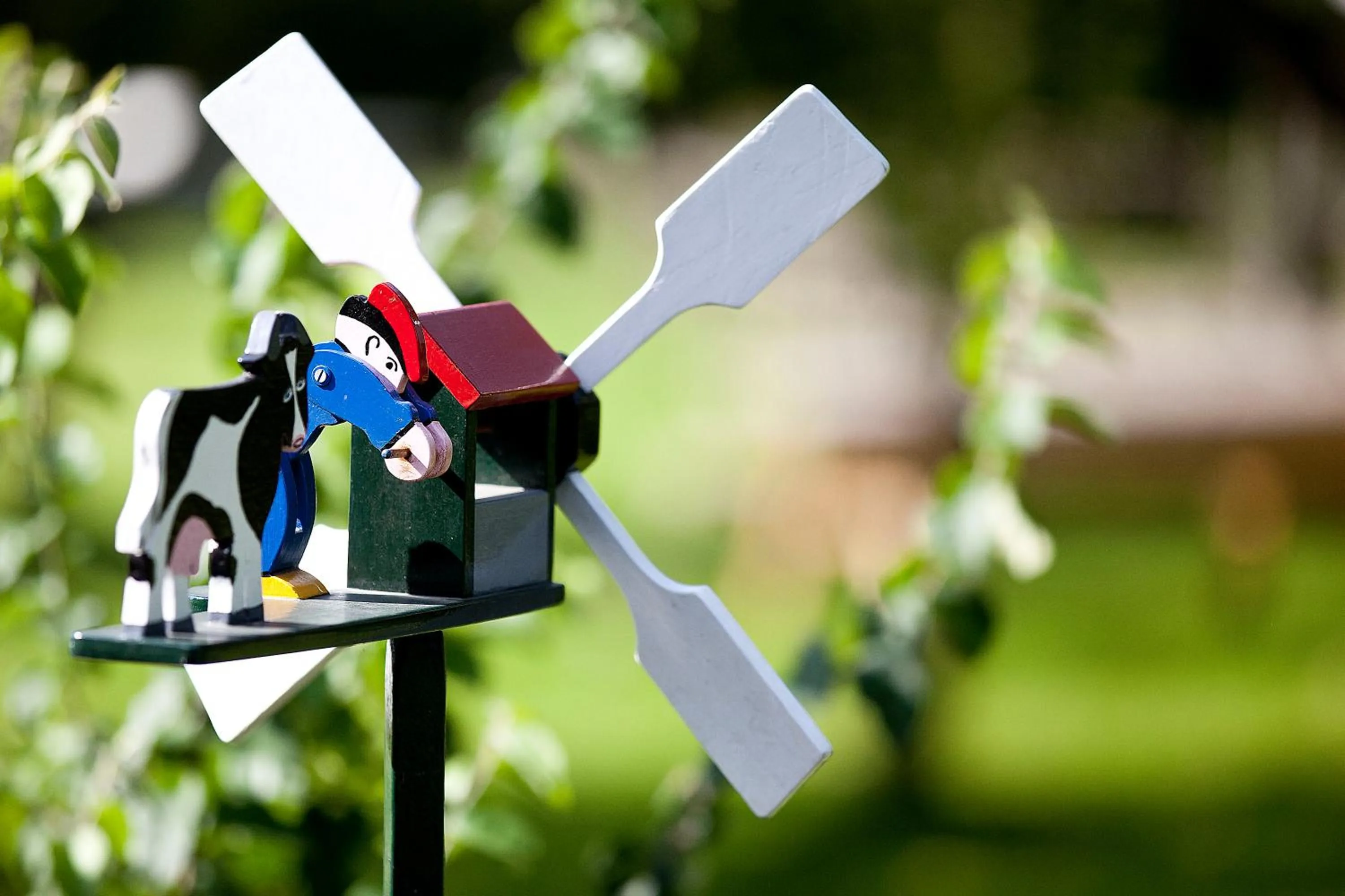 Garden in B&B De Sprokkeltuin