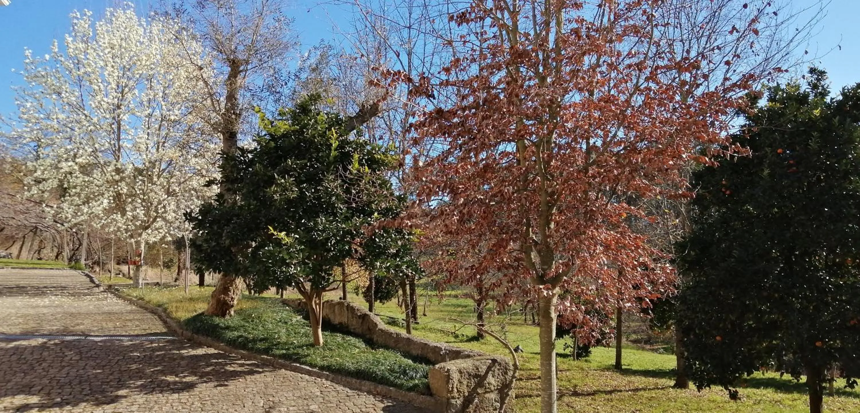 Garden view in VianasHome