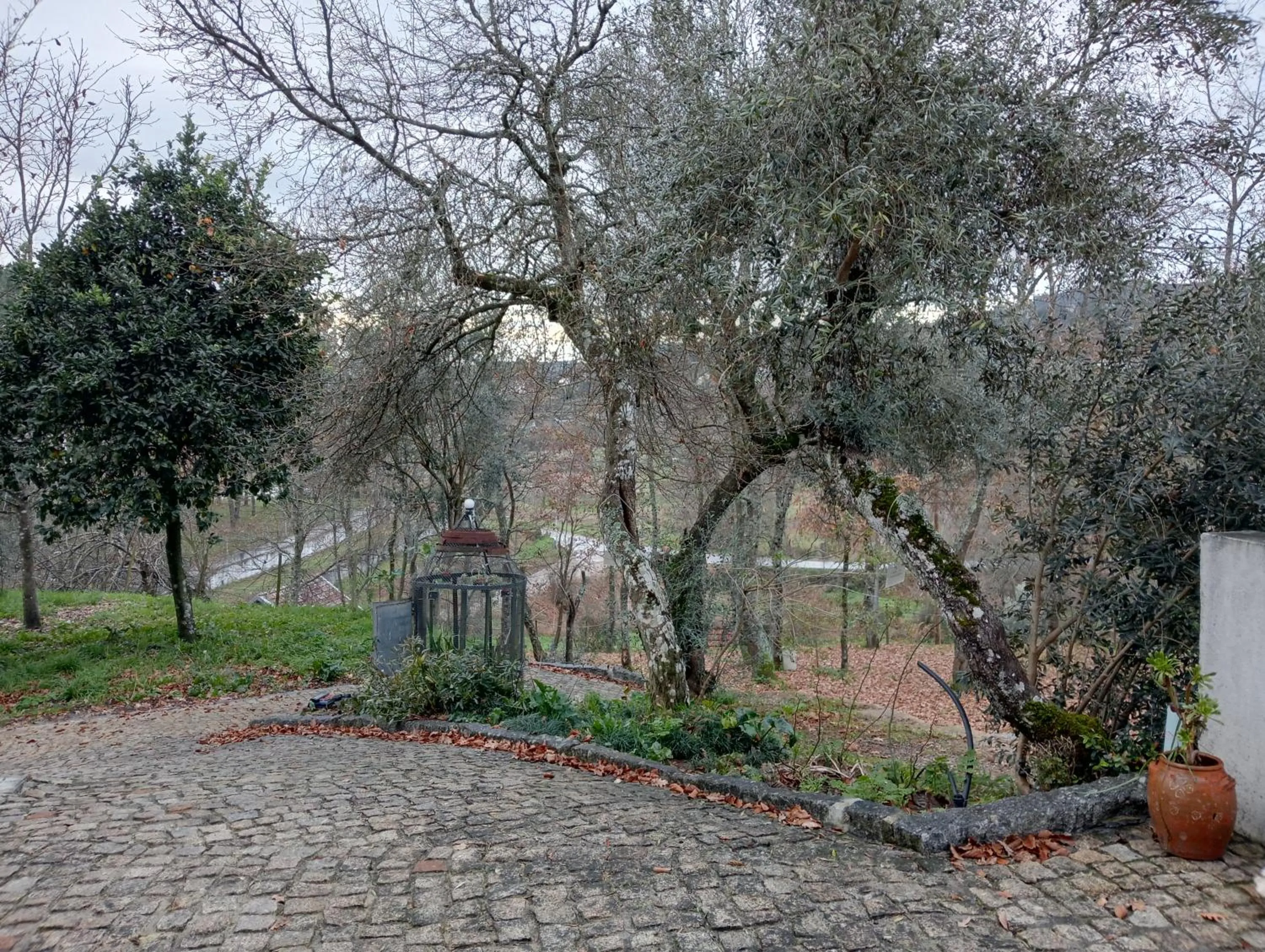 Garden view in VianasHome