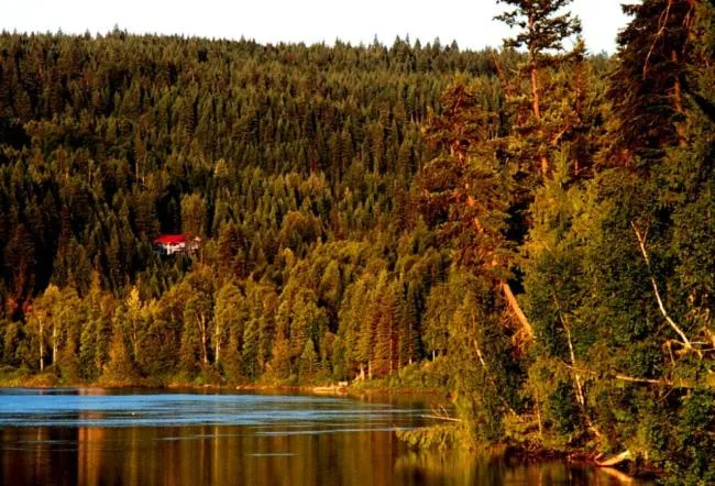 Natural Landscape in High Country Inn