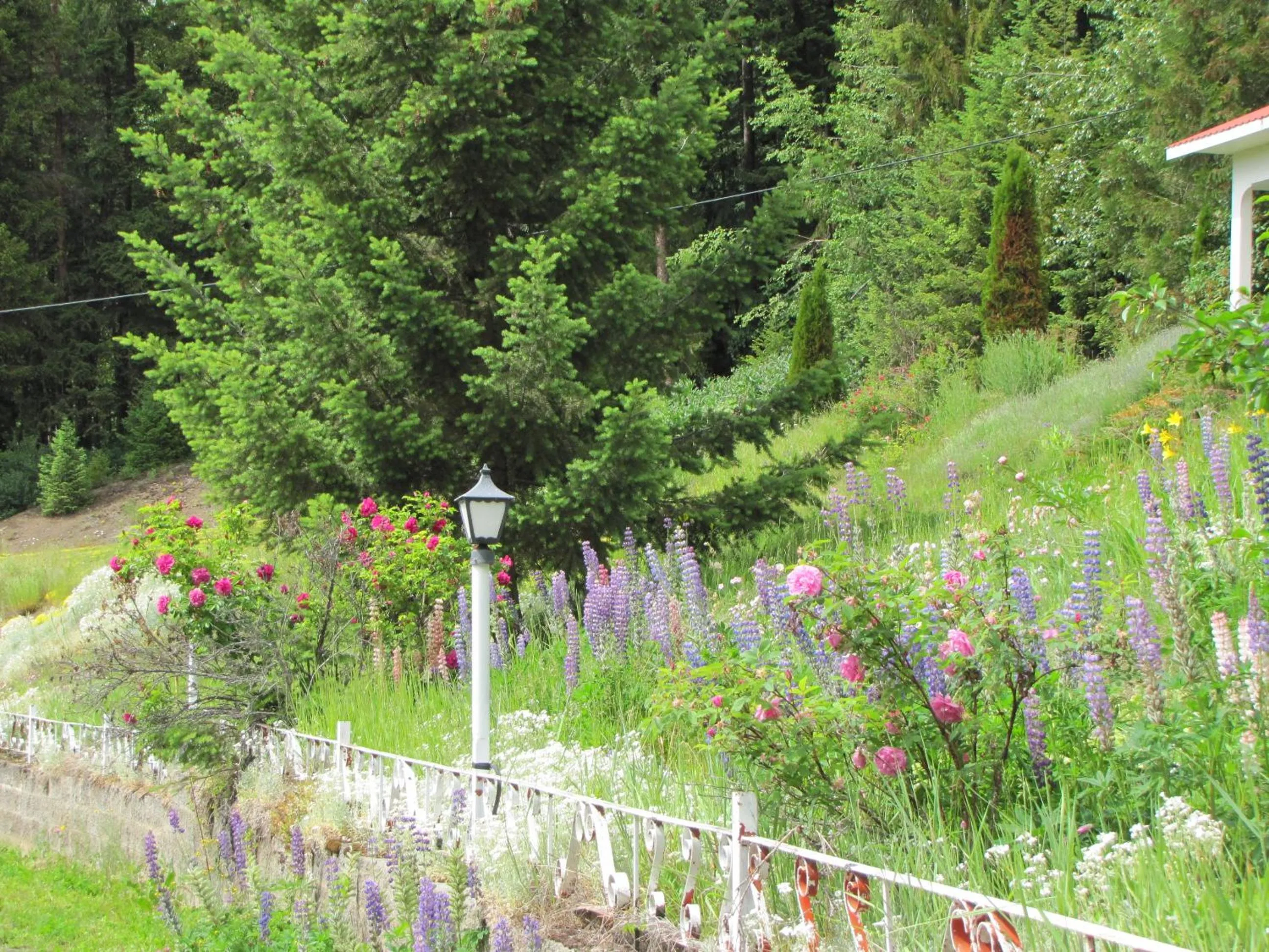 Garden in High Country Inn