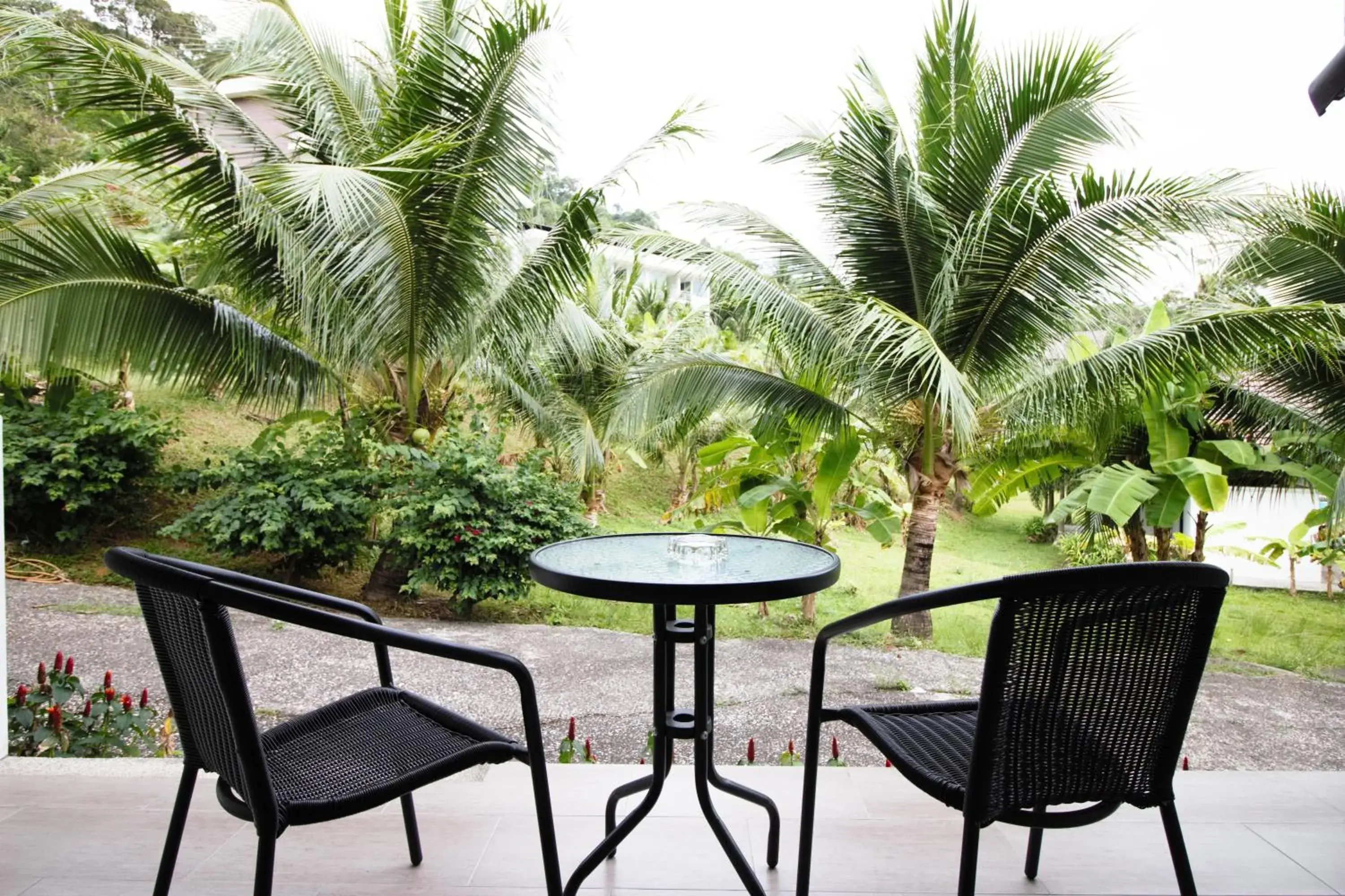 Garden view in PS Hill Resort Phuket Patong - SHA Plus Garden view in PS Hill Resort Phuket Patong - SHA Plus