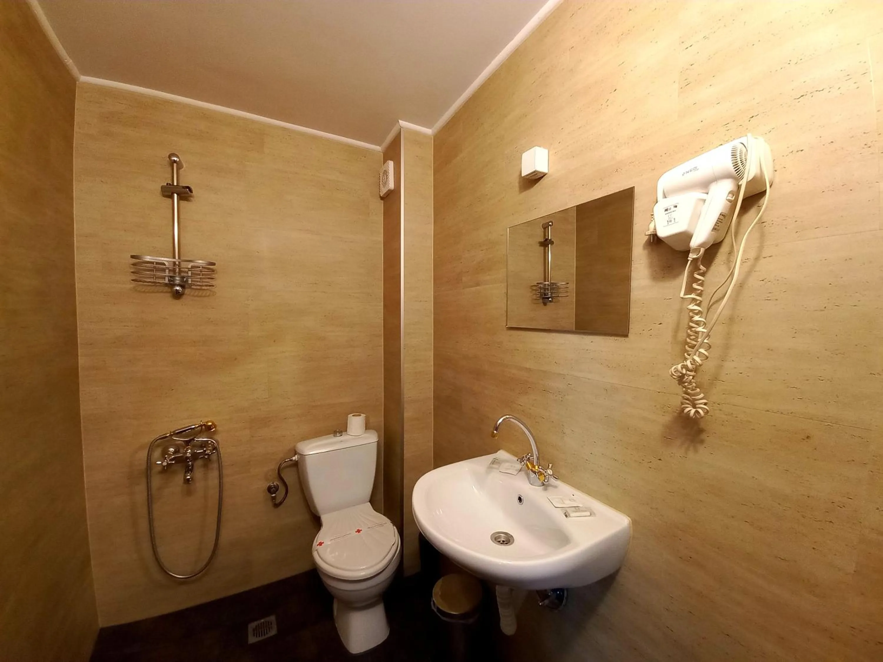 Toilet in Tarnava - Oldtown House