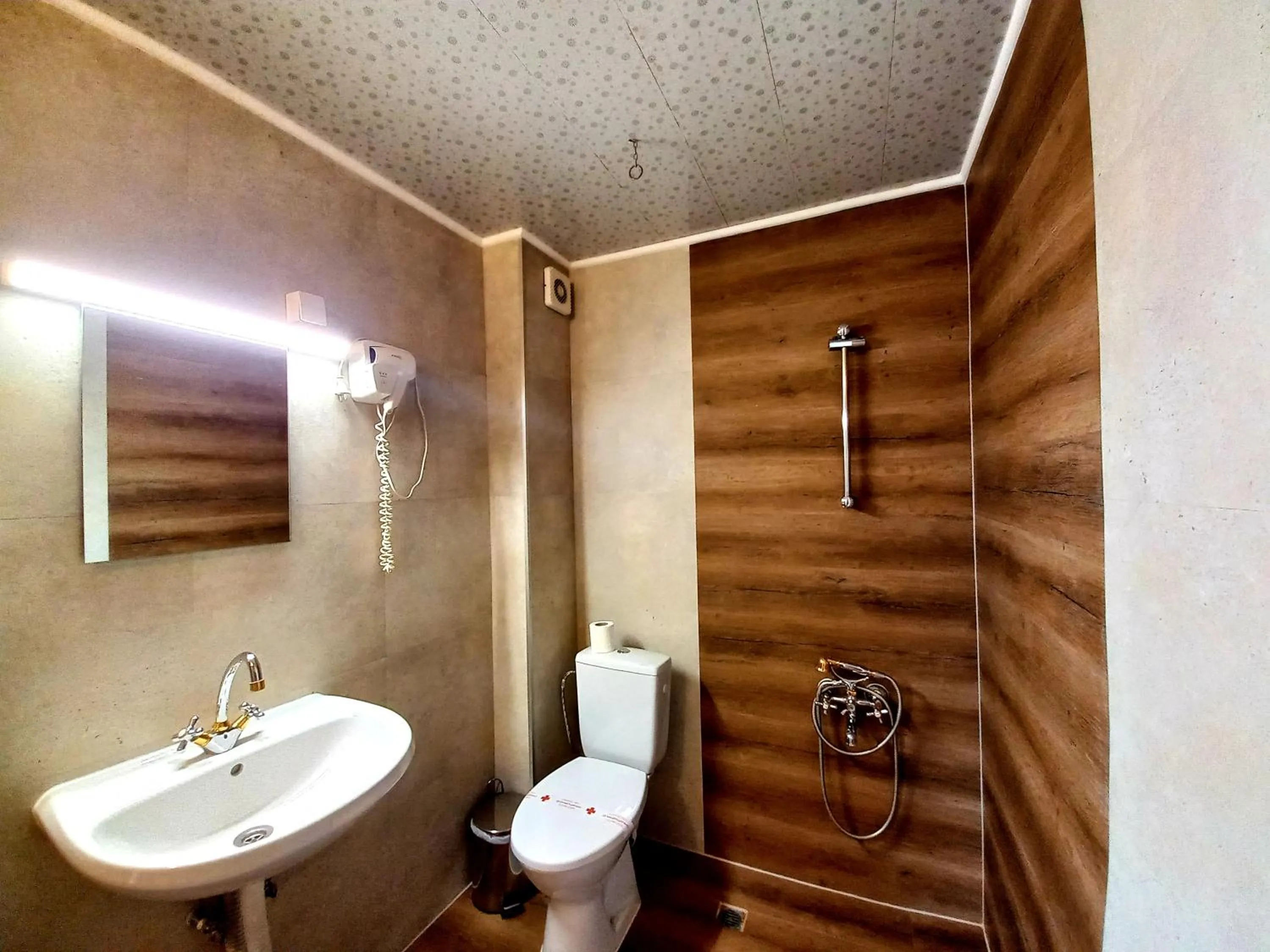 Shower in Tarnava - Oldtown House