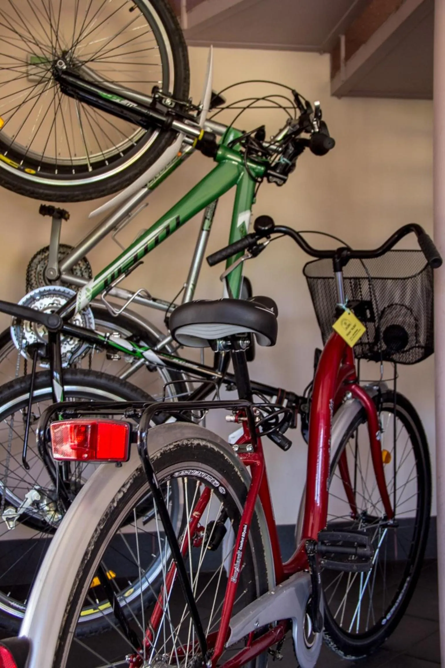 Cycling in Alba Hotel