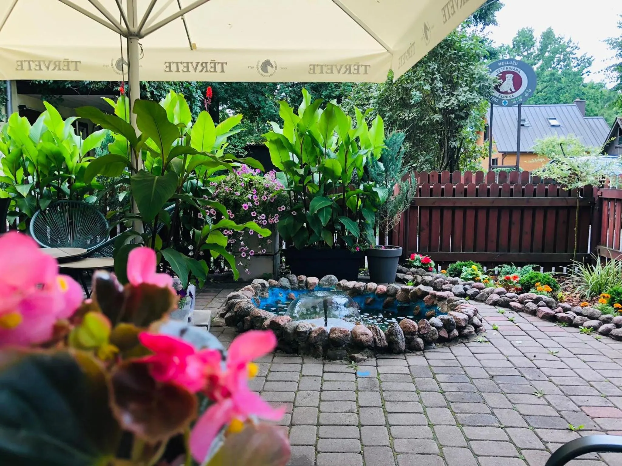 Restaurant/places to eat in Alba Hotel