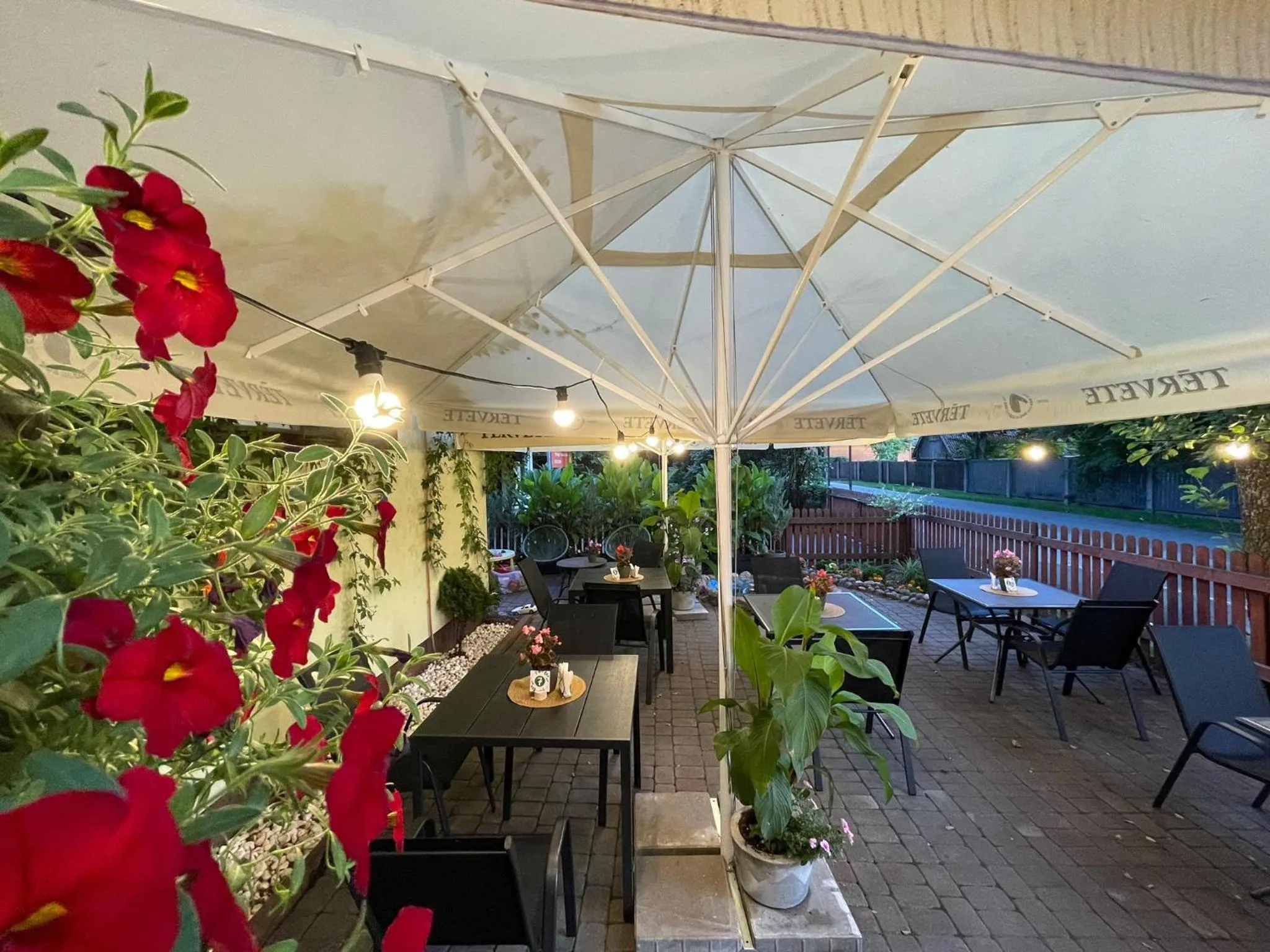 Restaurant/places to eat in Alba Hotel