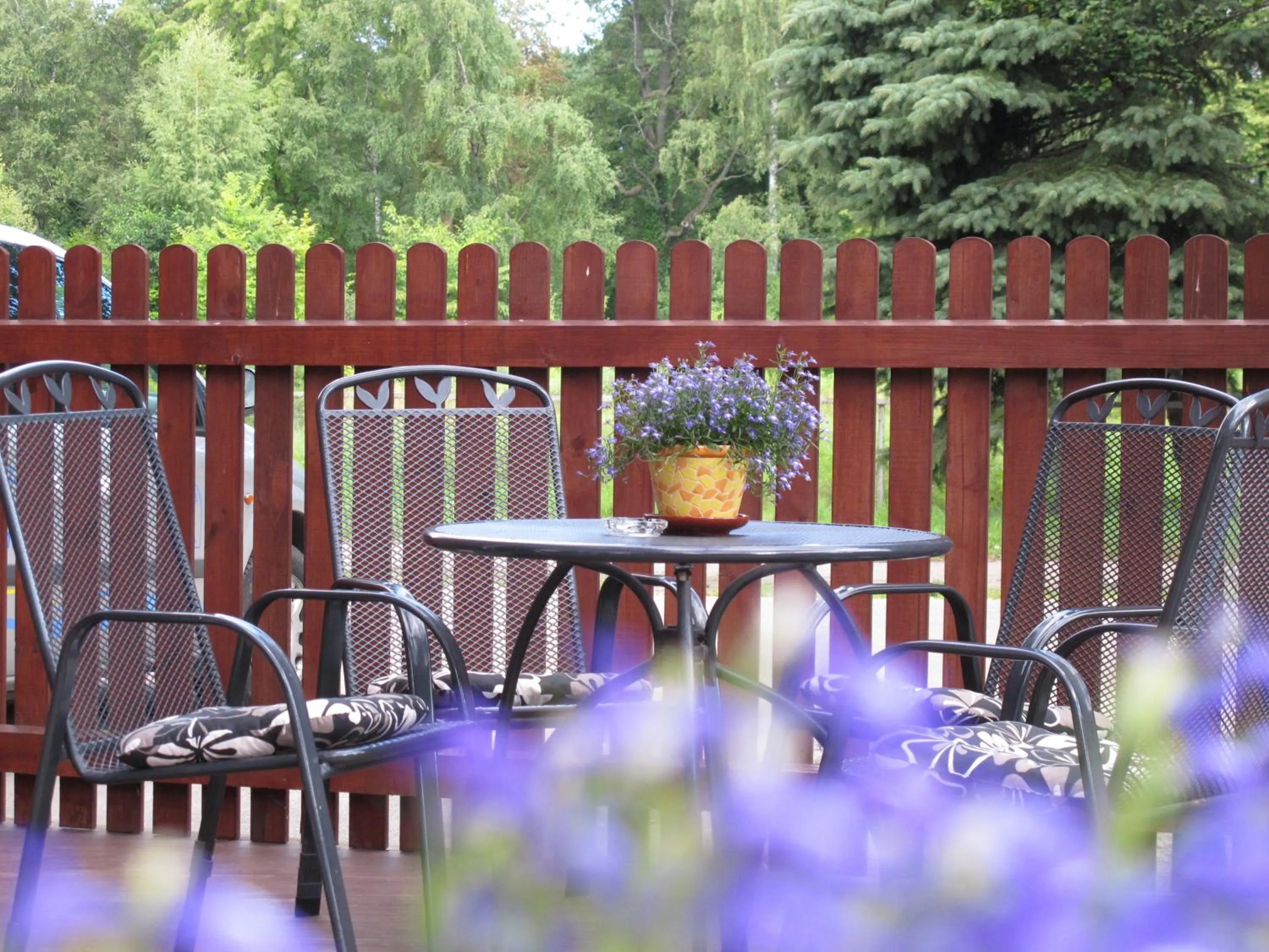 Garden in Alba Hotel