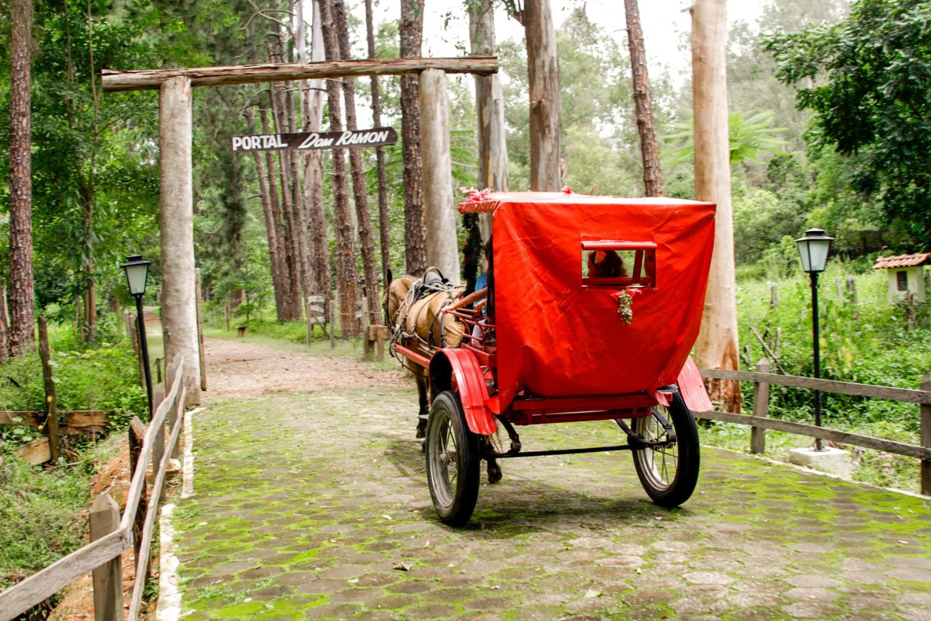 Natural landscape in Hotel Fazenda Ramon