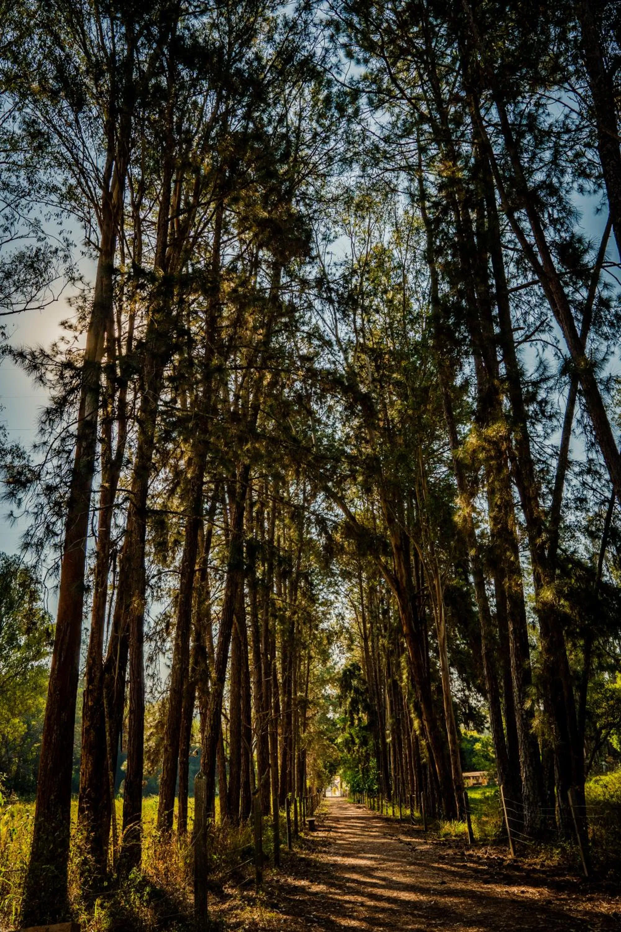 Hiking in Hotel Fazenda Ramon
