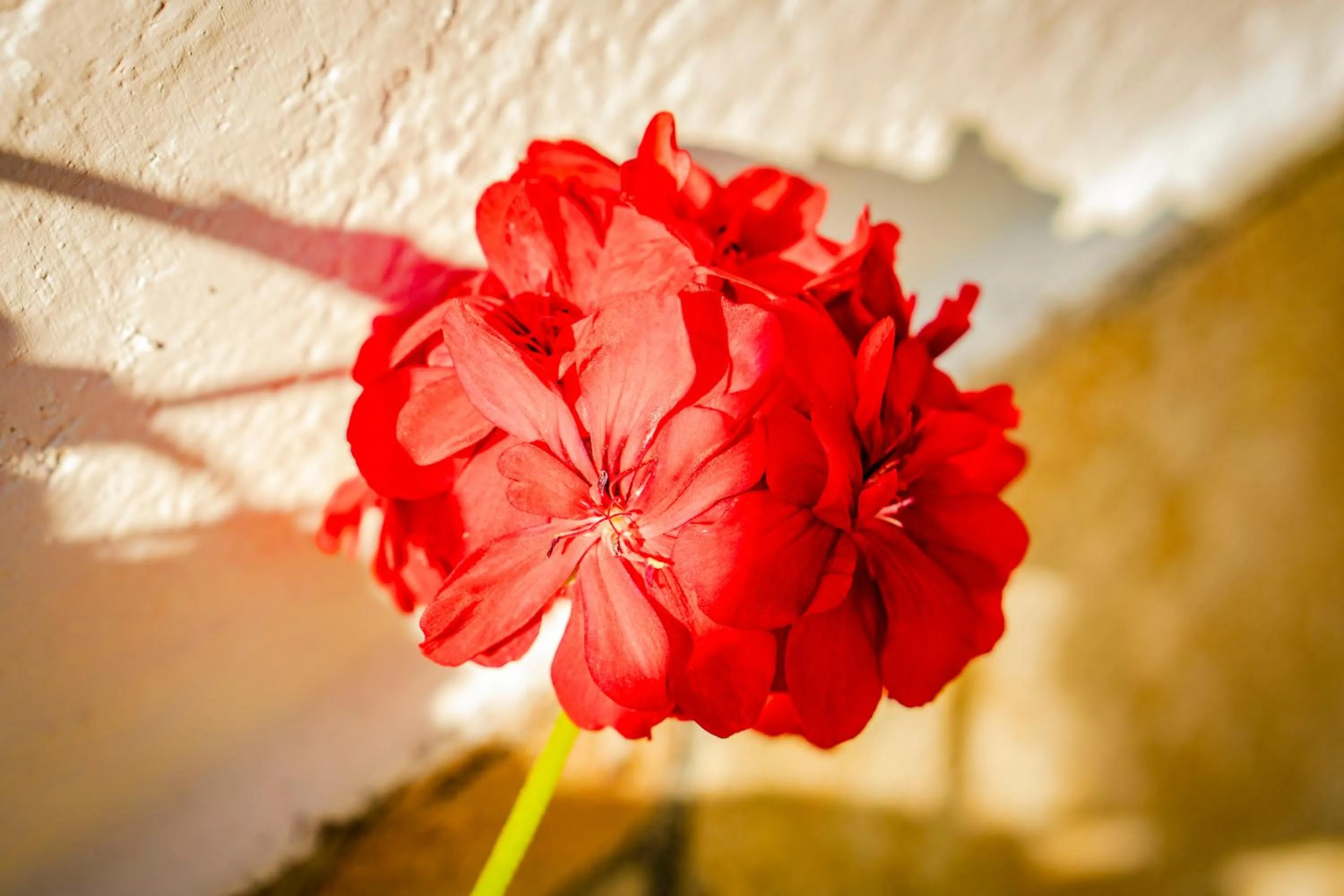 Spring in Hotel Fazenda Ramon