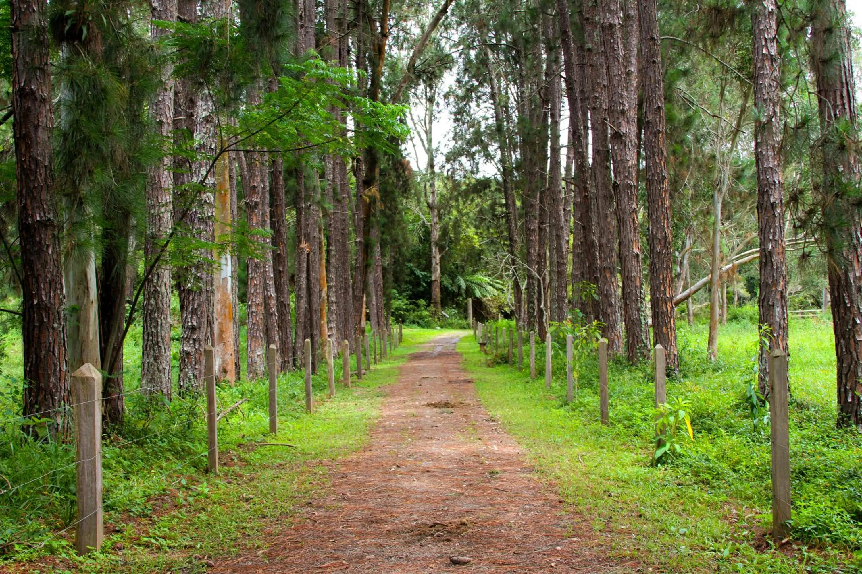 Day in Hotel Fazenda Ramon