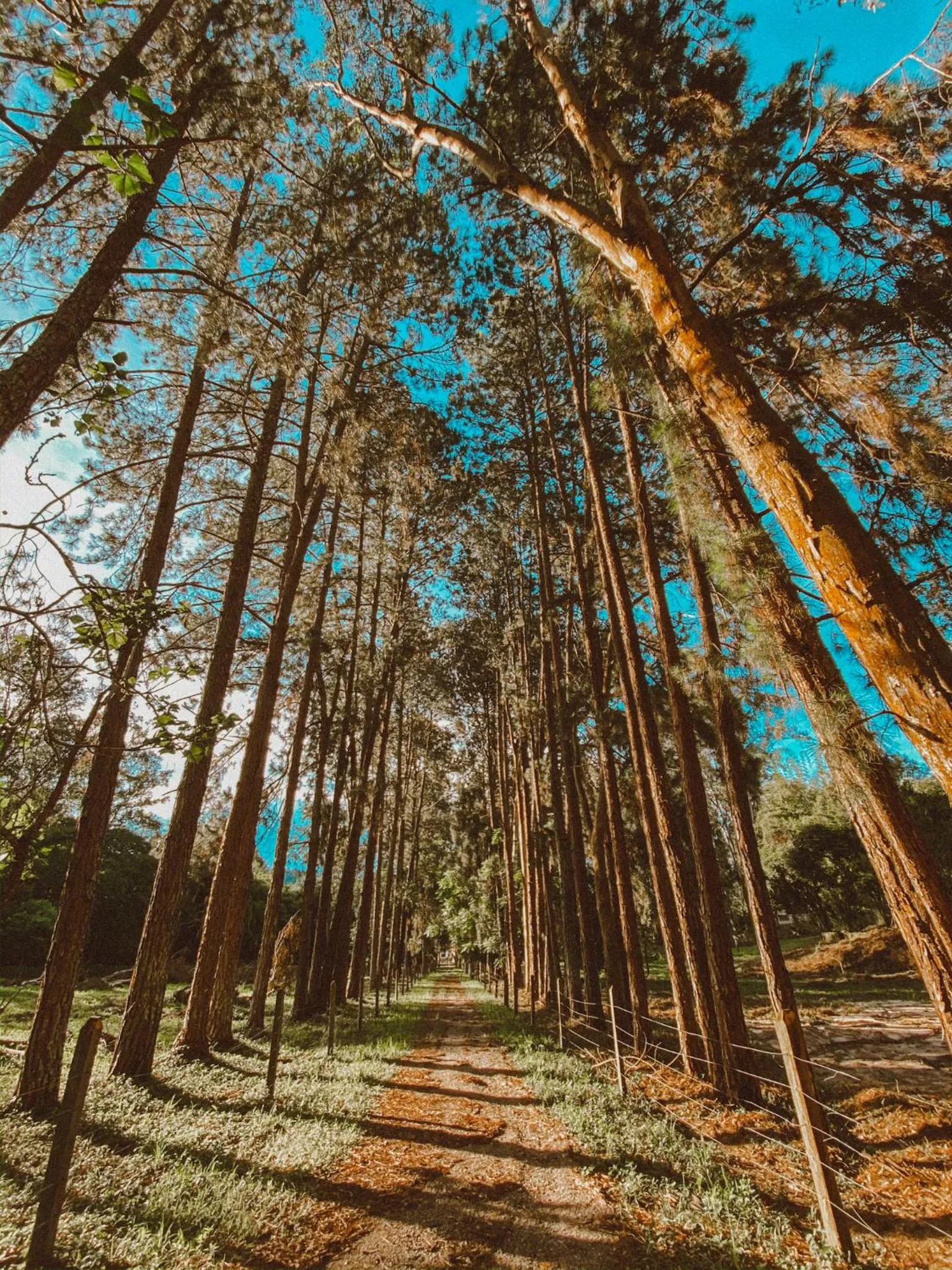 Natural landscape in Hotel Fazenda Ramon