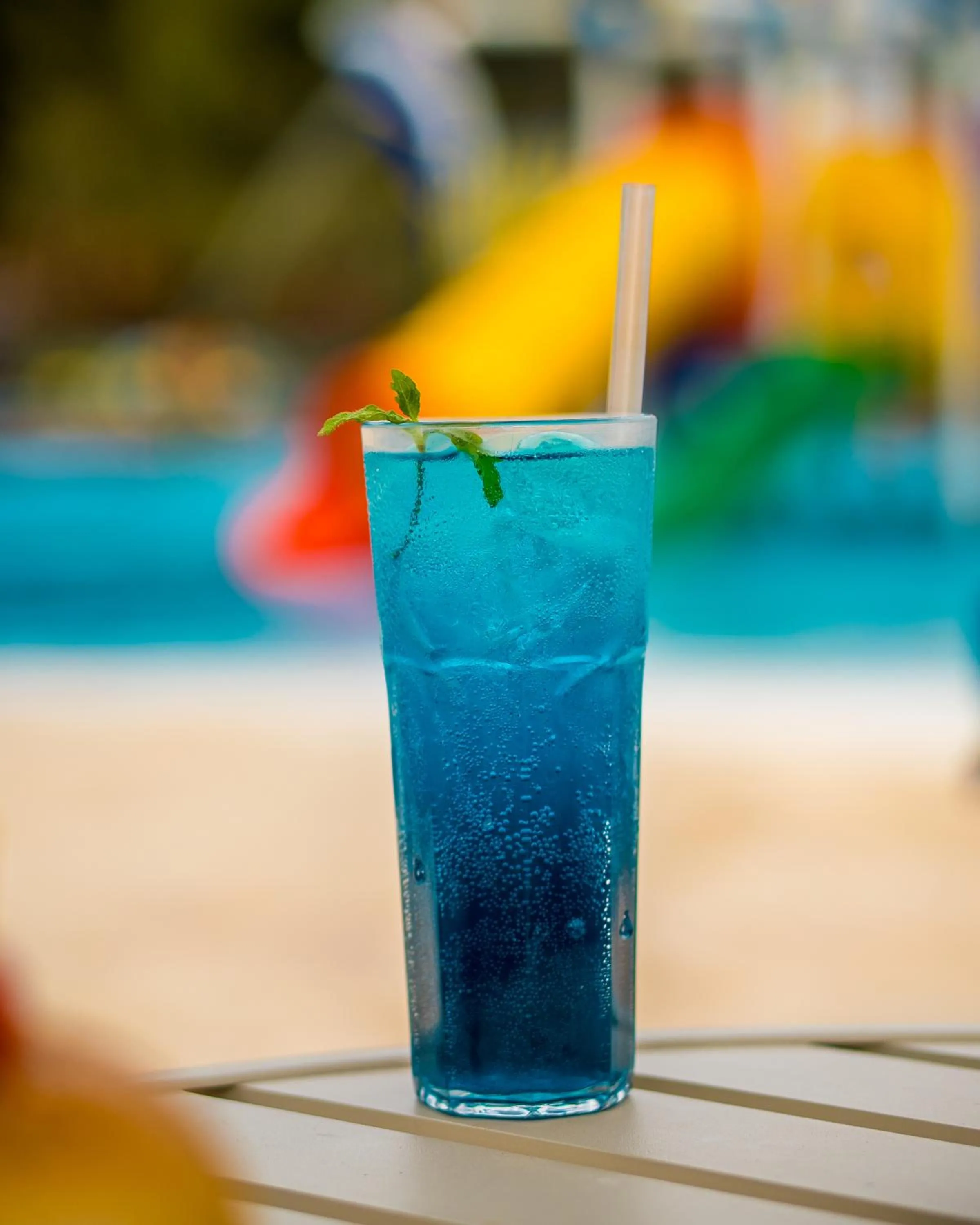 Lounge or bar in Hotel Fazenda Ramon