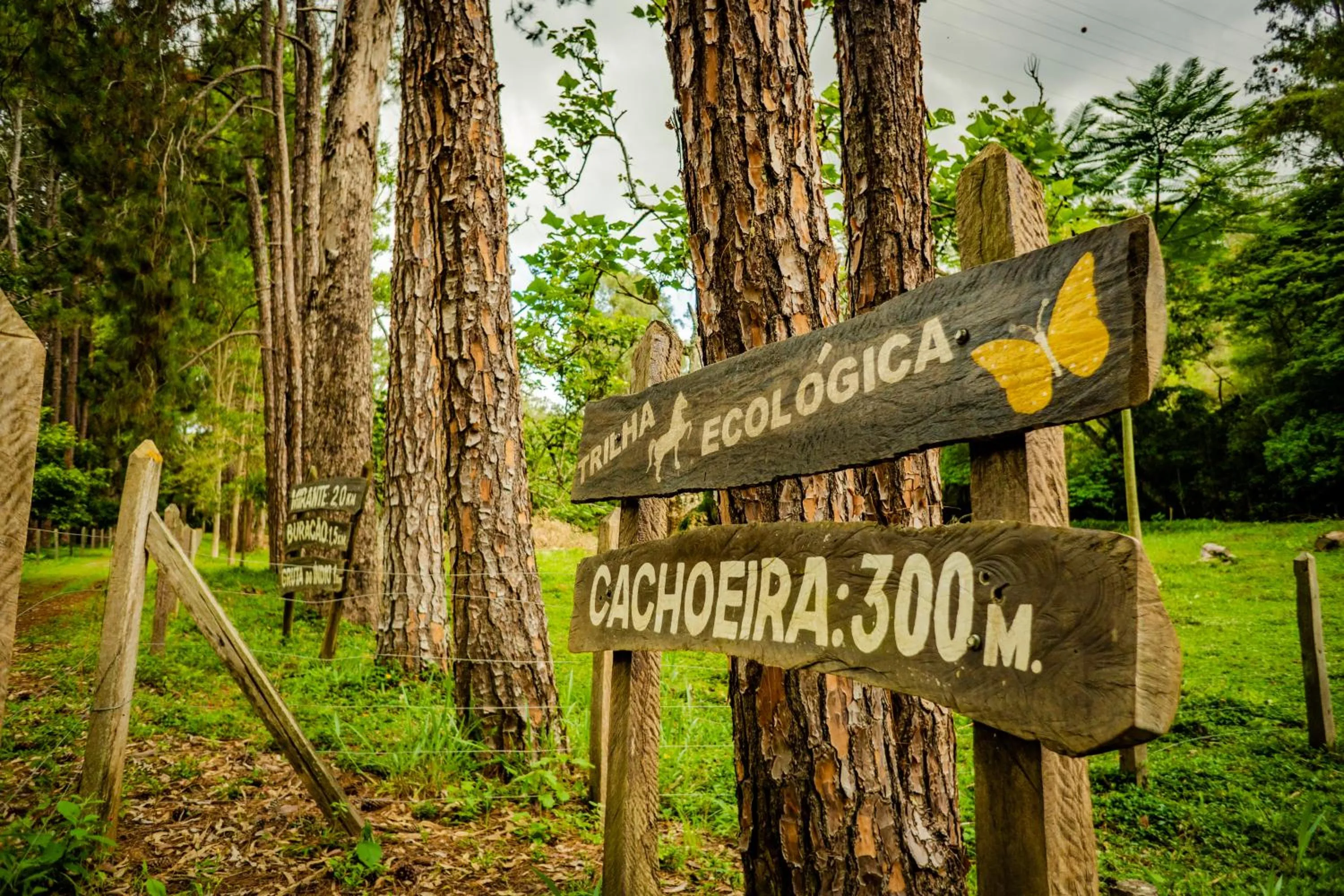 Hiking in Hotel Fazenda Ramon