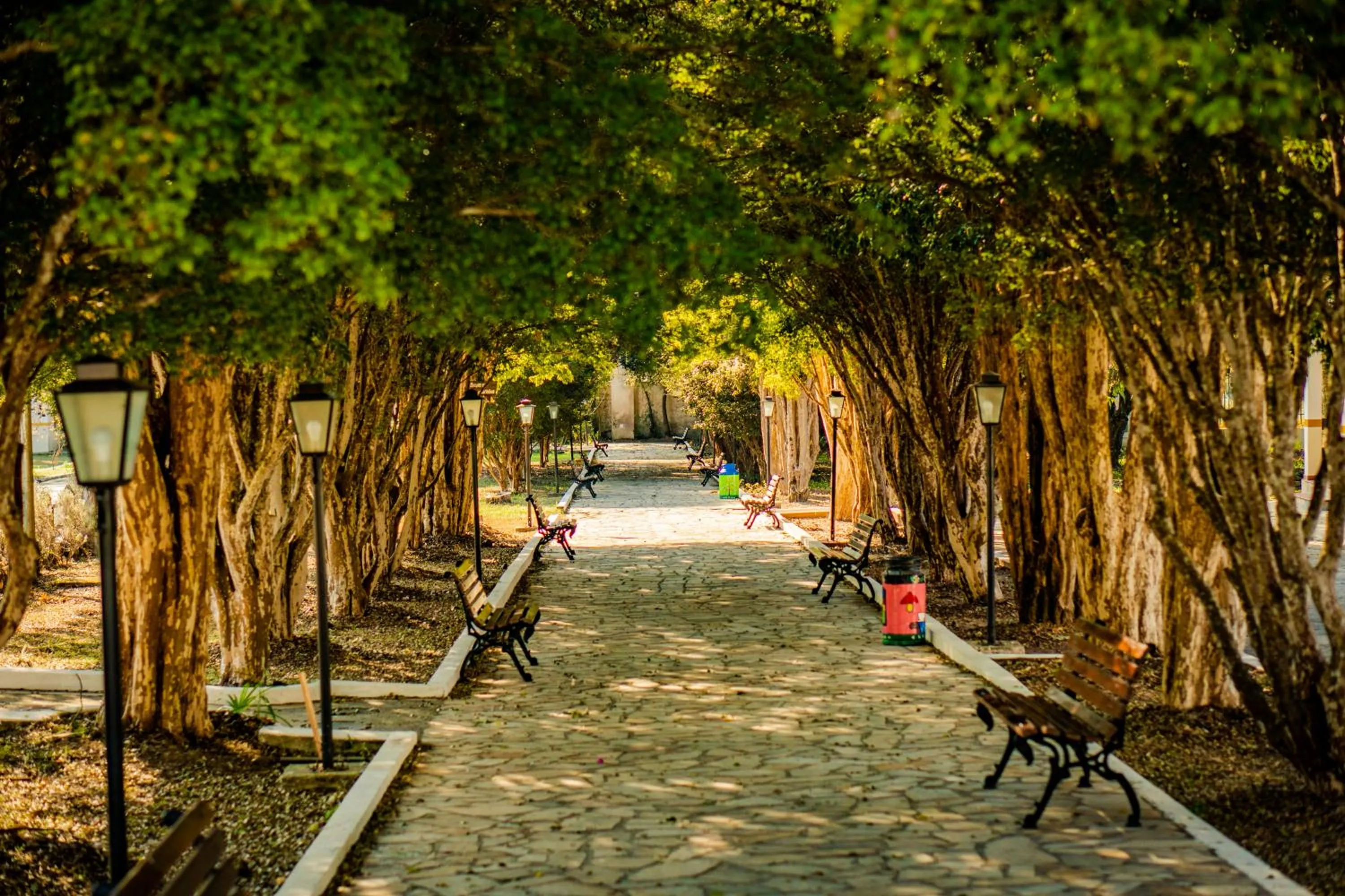 Natural landscape in Hotel Fazenda Ramon