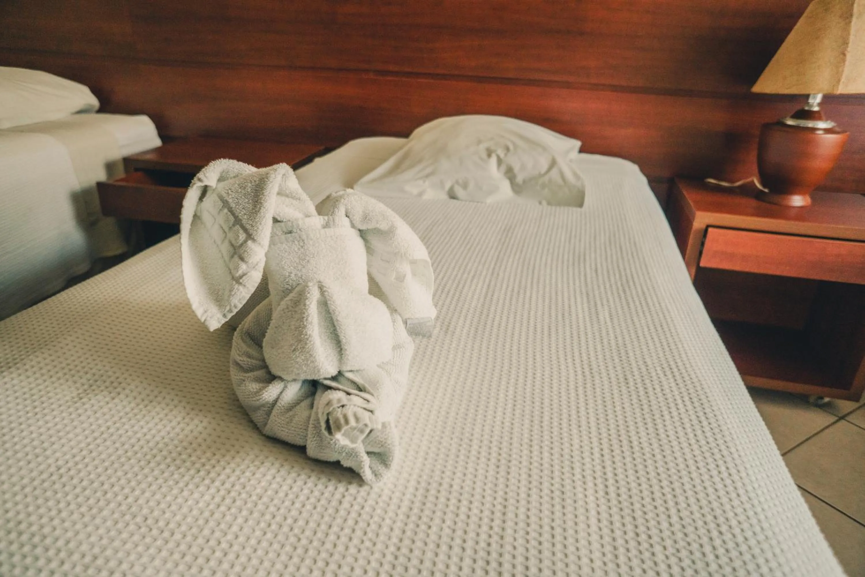 Standard Chalet in Hotel Fazenda Ramon