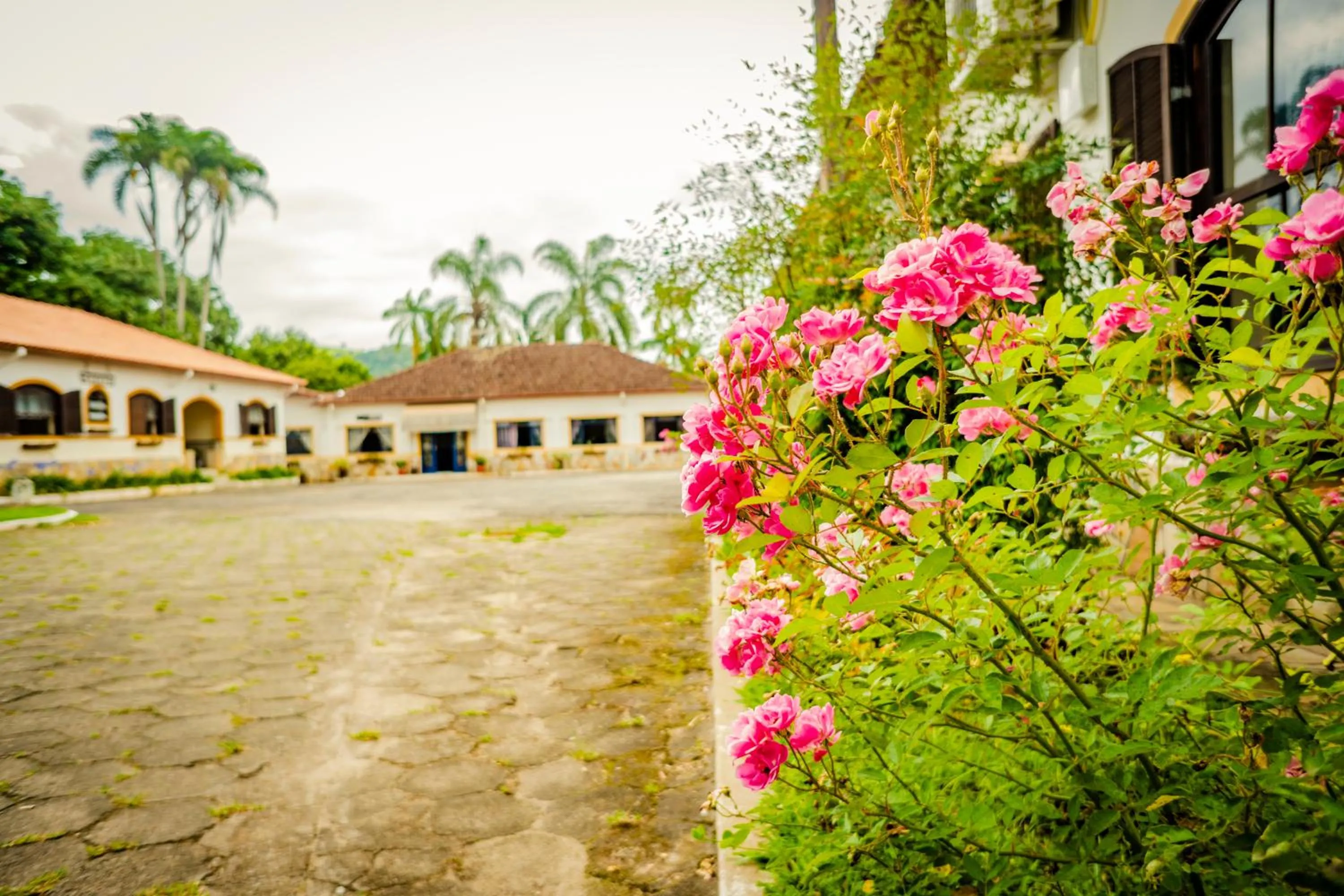 Garden in Hotel Fazenda Ramon