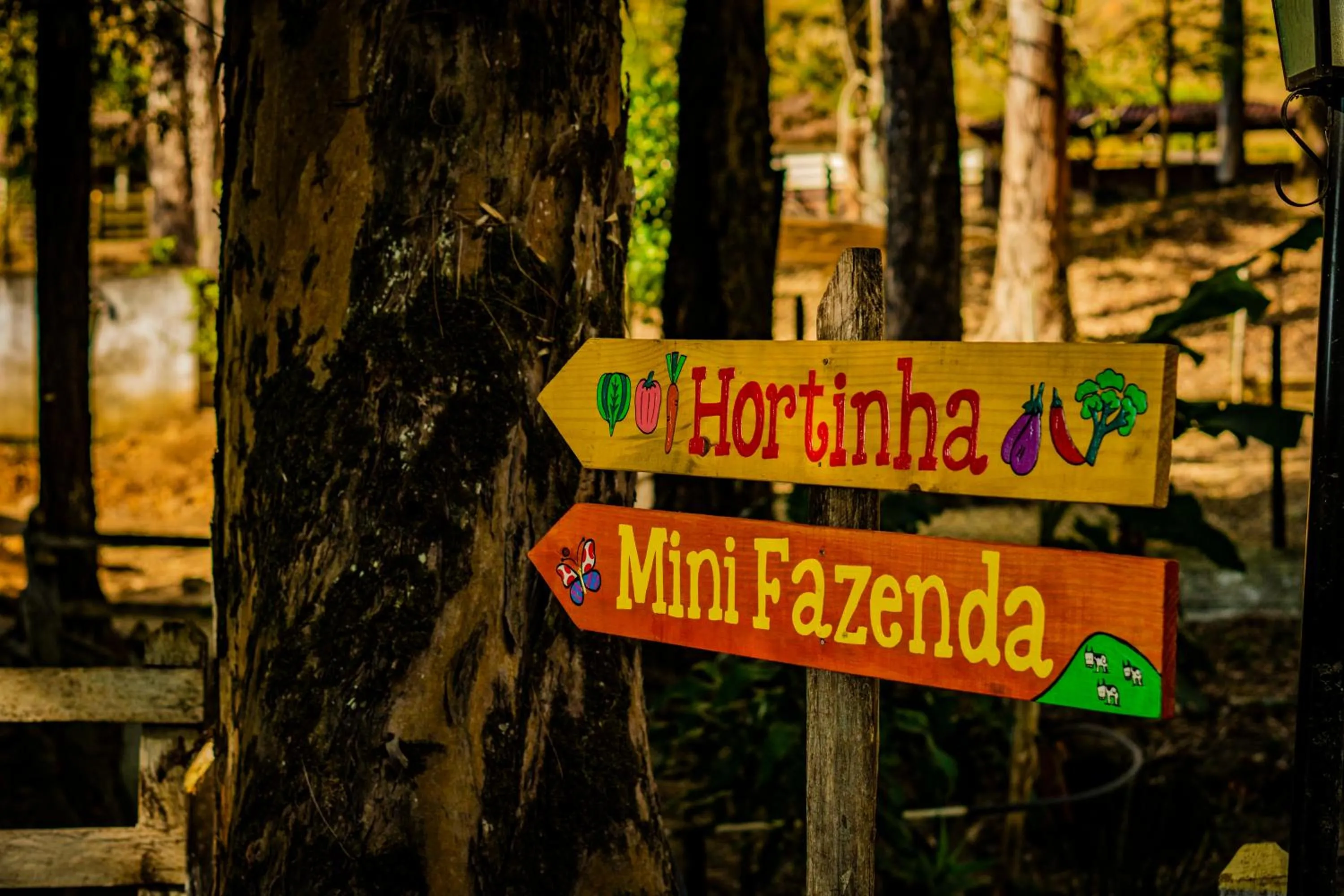 Natural landscape in Hotel Fazenda Ramon