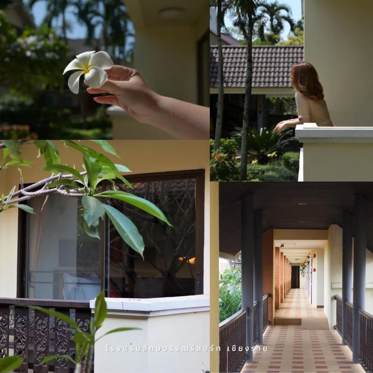 Luckswan Resort Chiang Rai - SHA Extra Plus