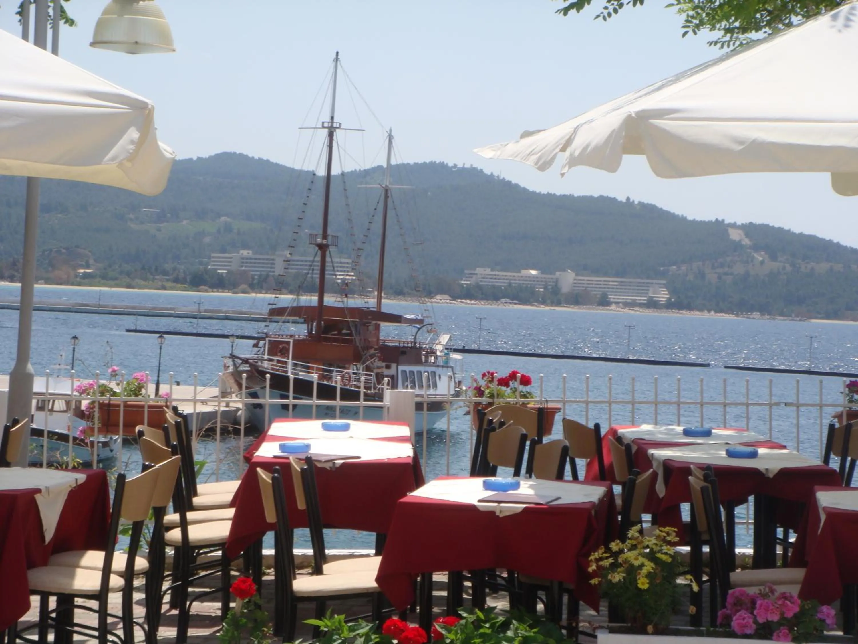 Restaurant/places to eat in Hotel Petunia