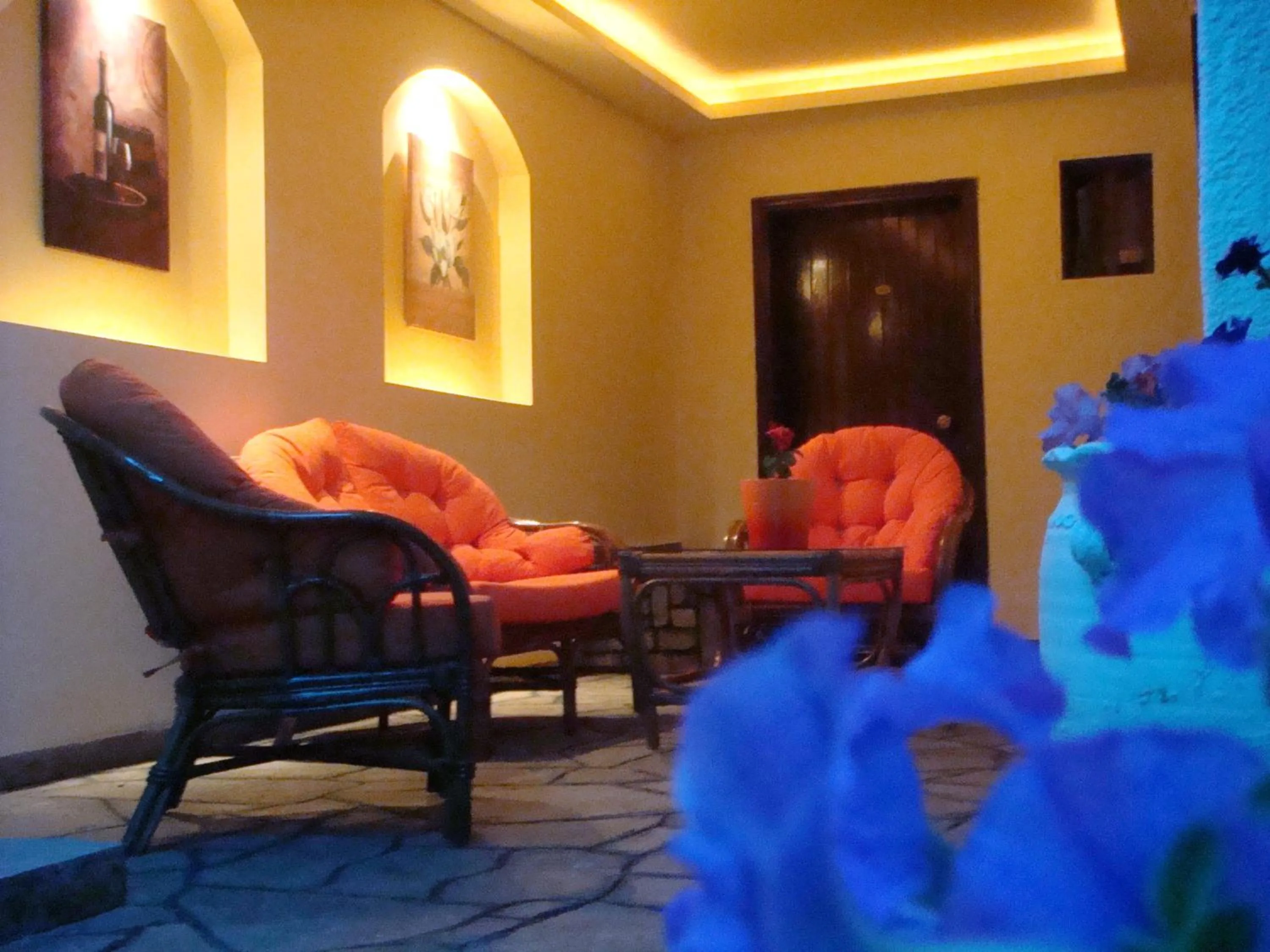 Balcony/Terrace in Hotel Petunia