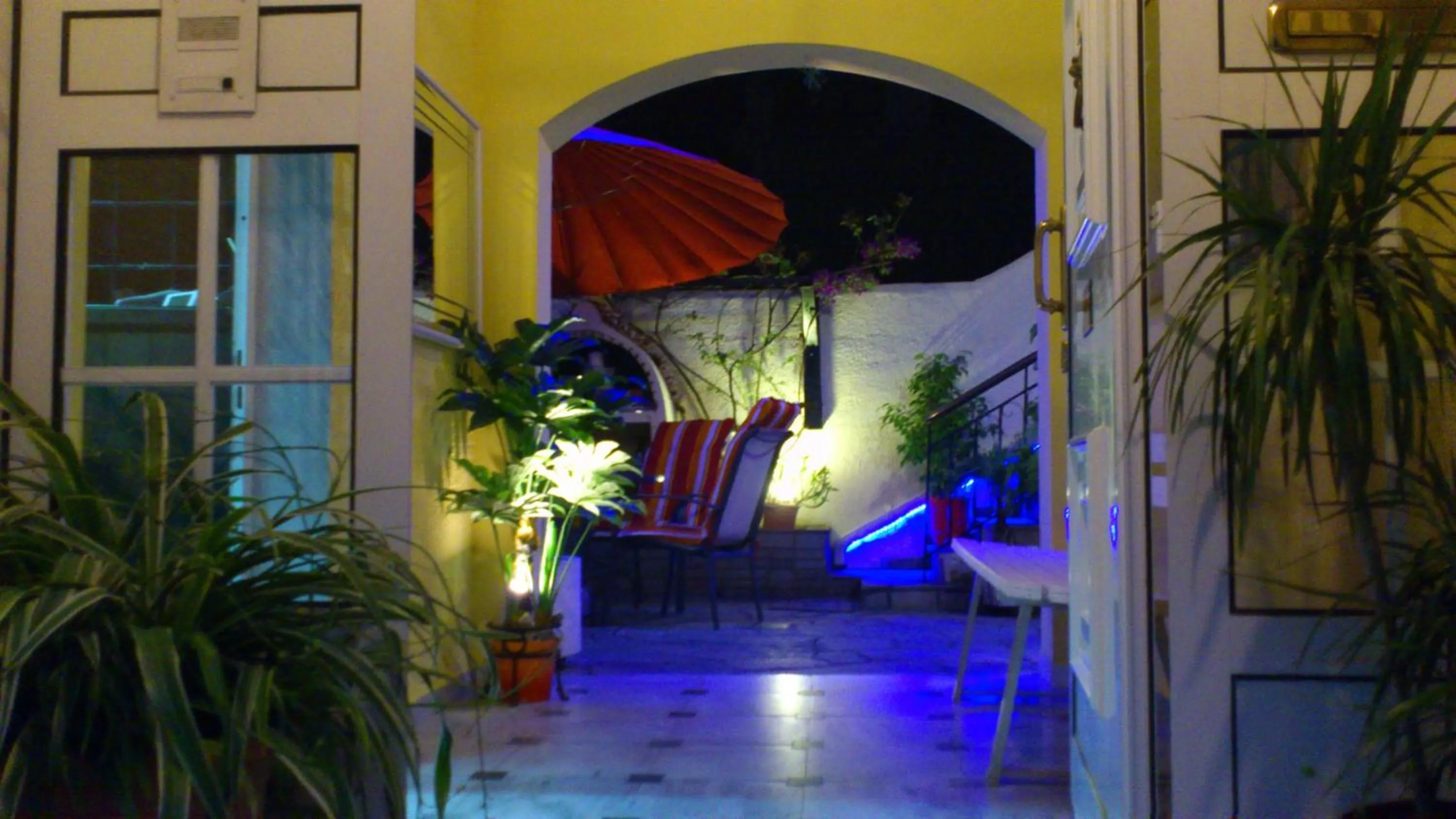 Balcony/Terrace in Hotel Petunia