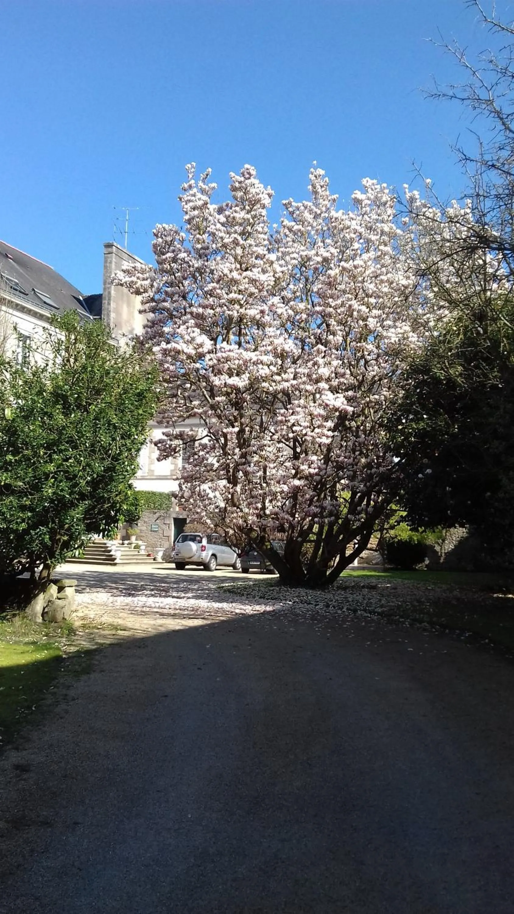 Spring in Logis Hotel L'europe