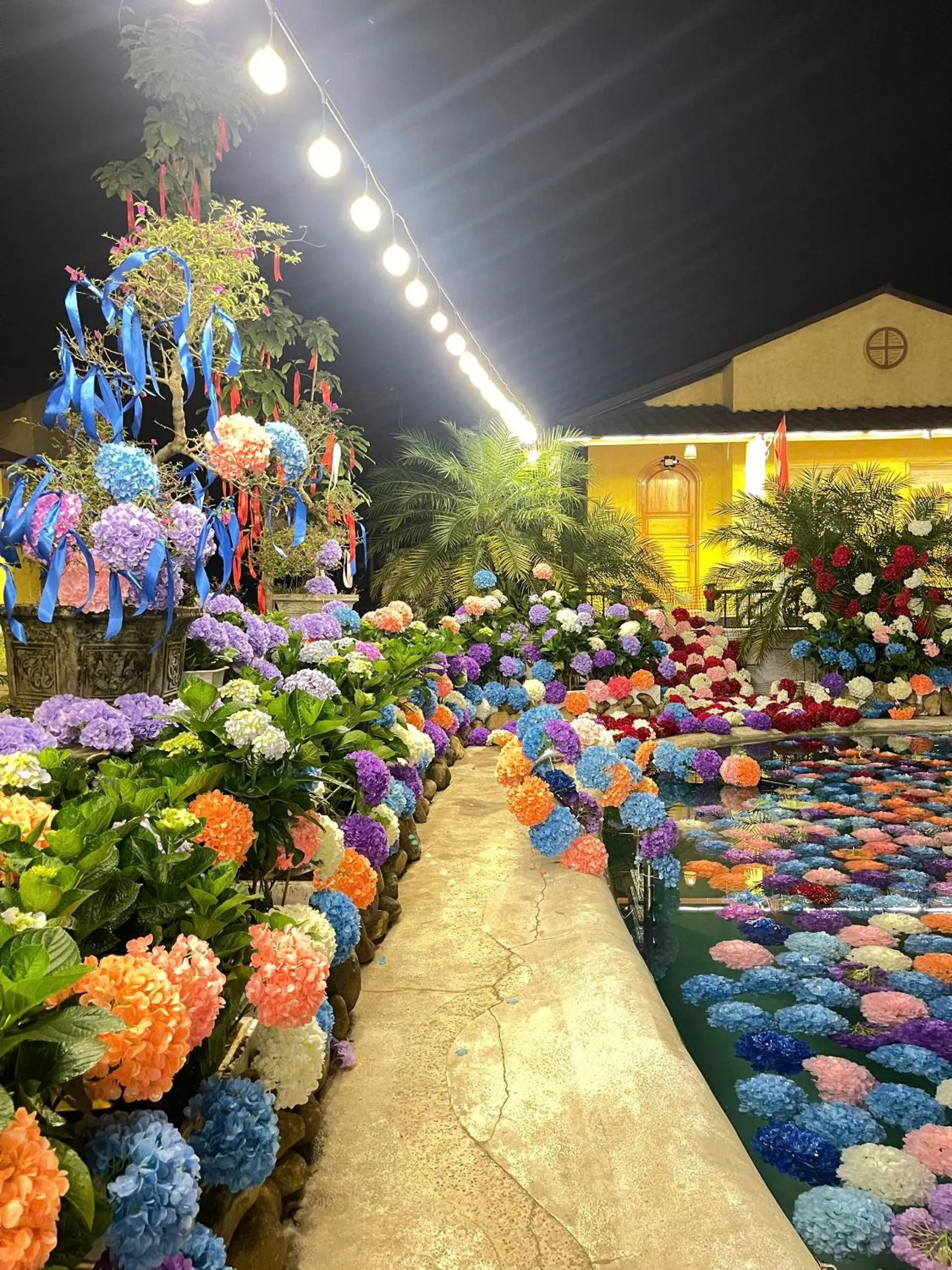 Garden in Wings Ha Giang Loop Bungalow