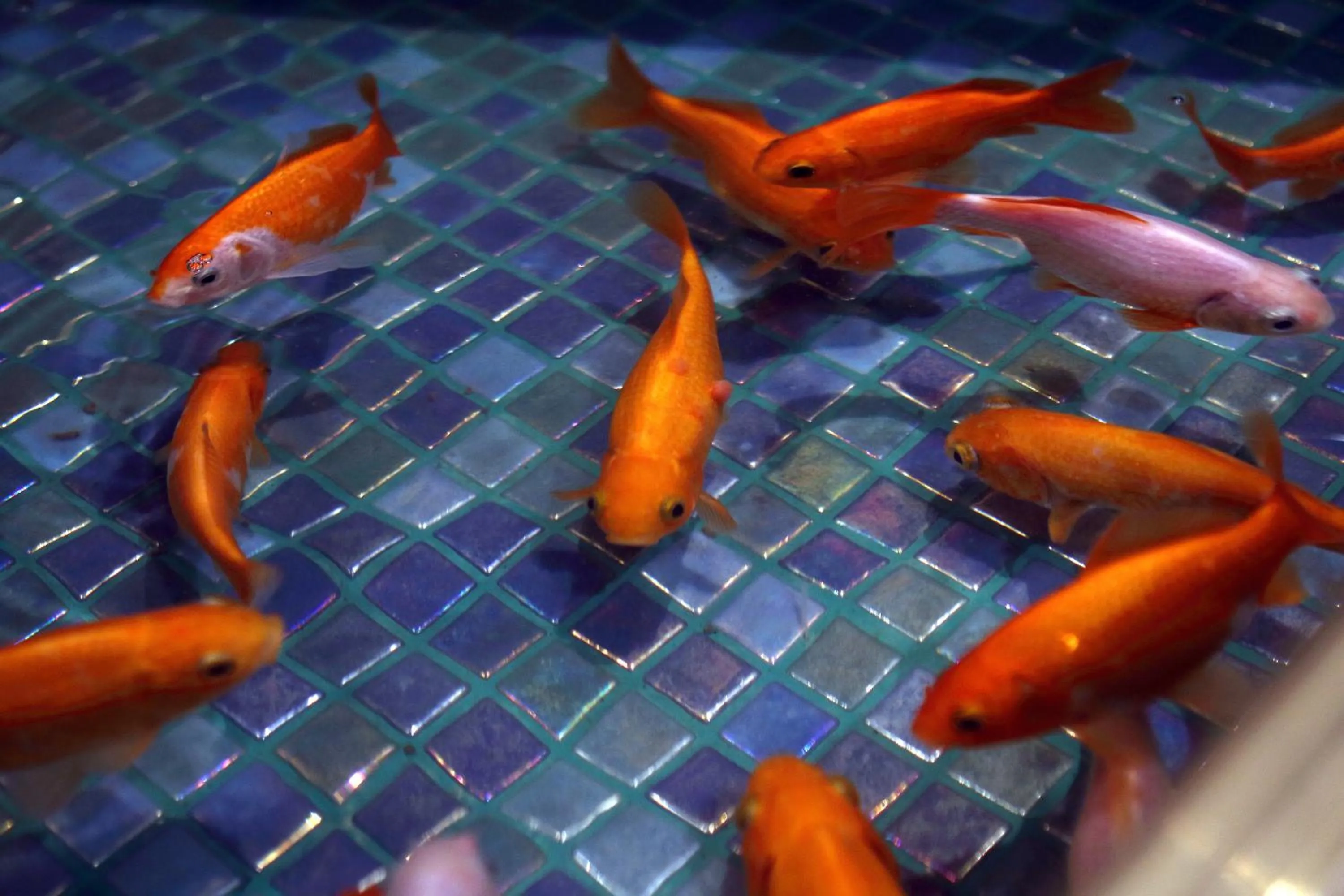 Lobby or reception in Boutique Hotel KRISTOFS