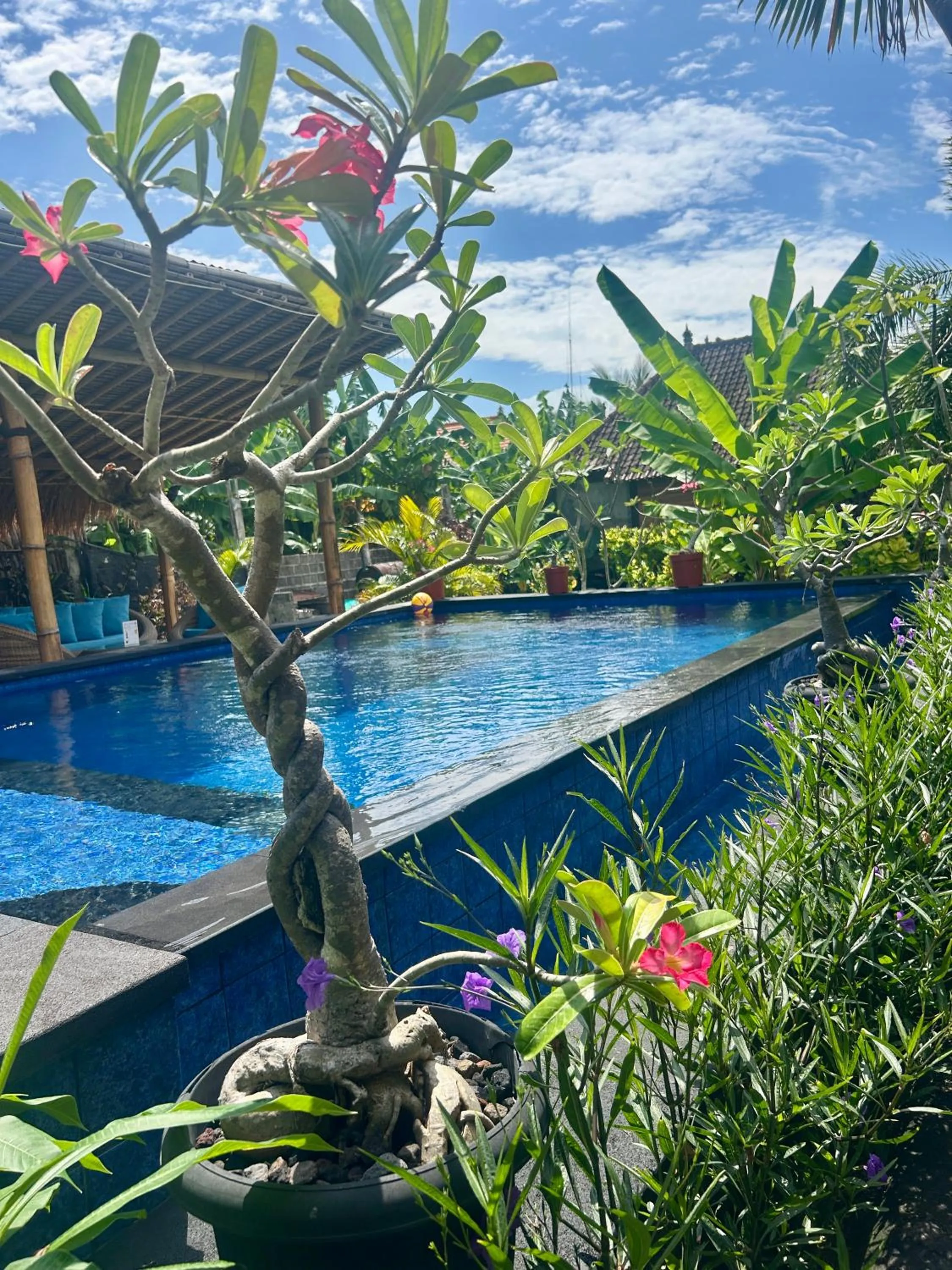Swimming pool in Island Garden Huts Lembongan