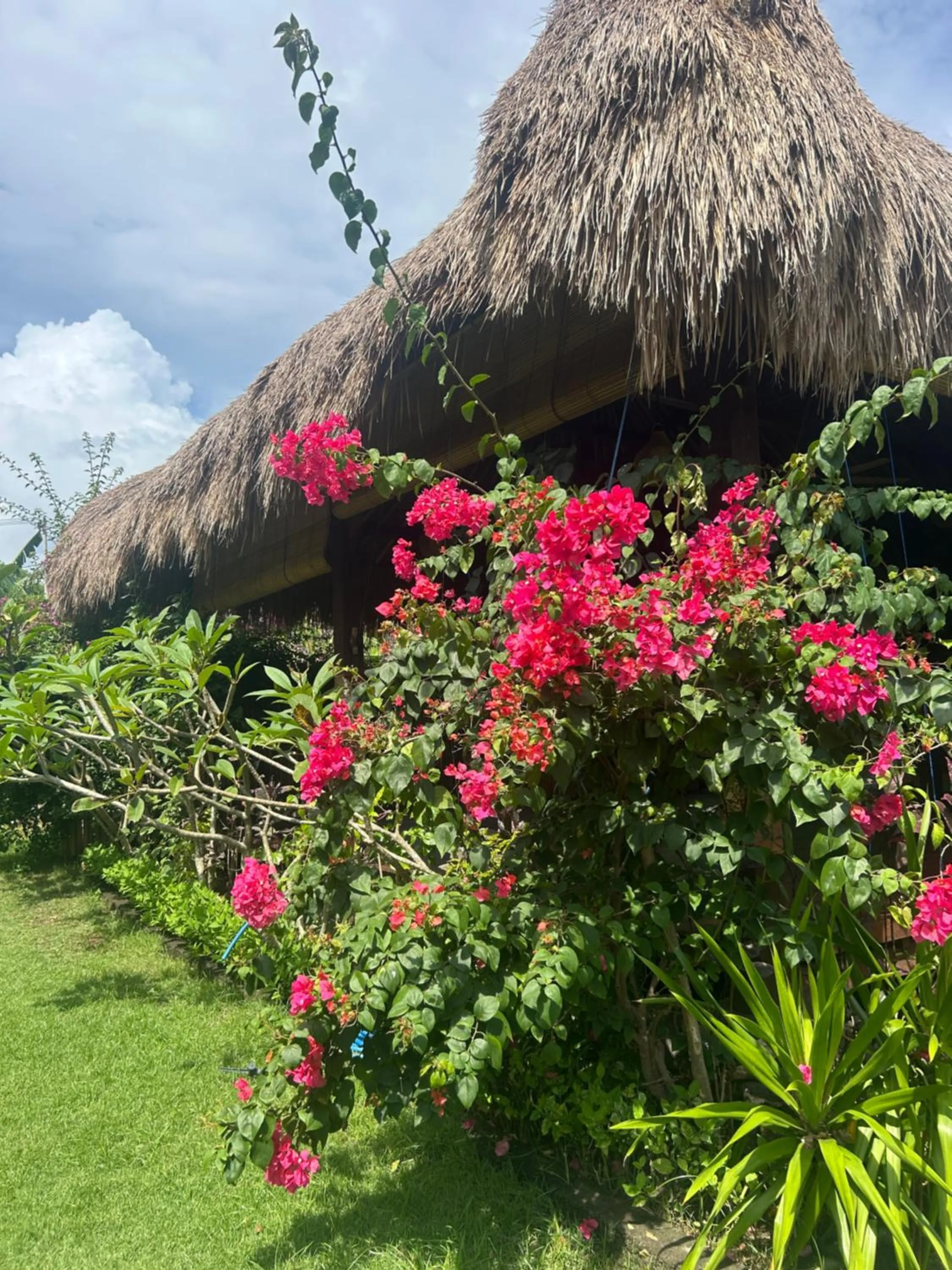 Island Garden Huts Lembongan