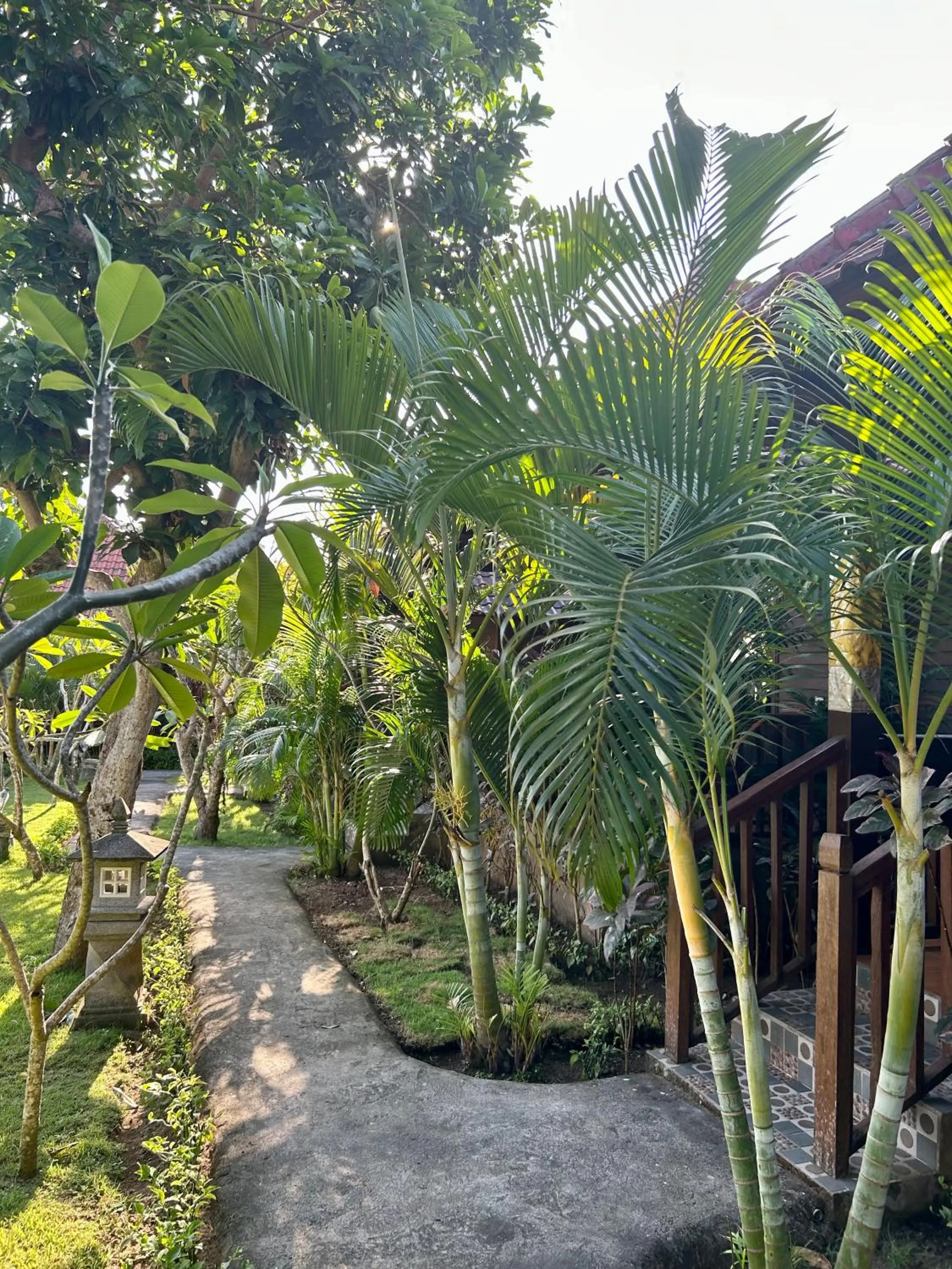 Natural landscape in Island Garden Huts Lembongan