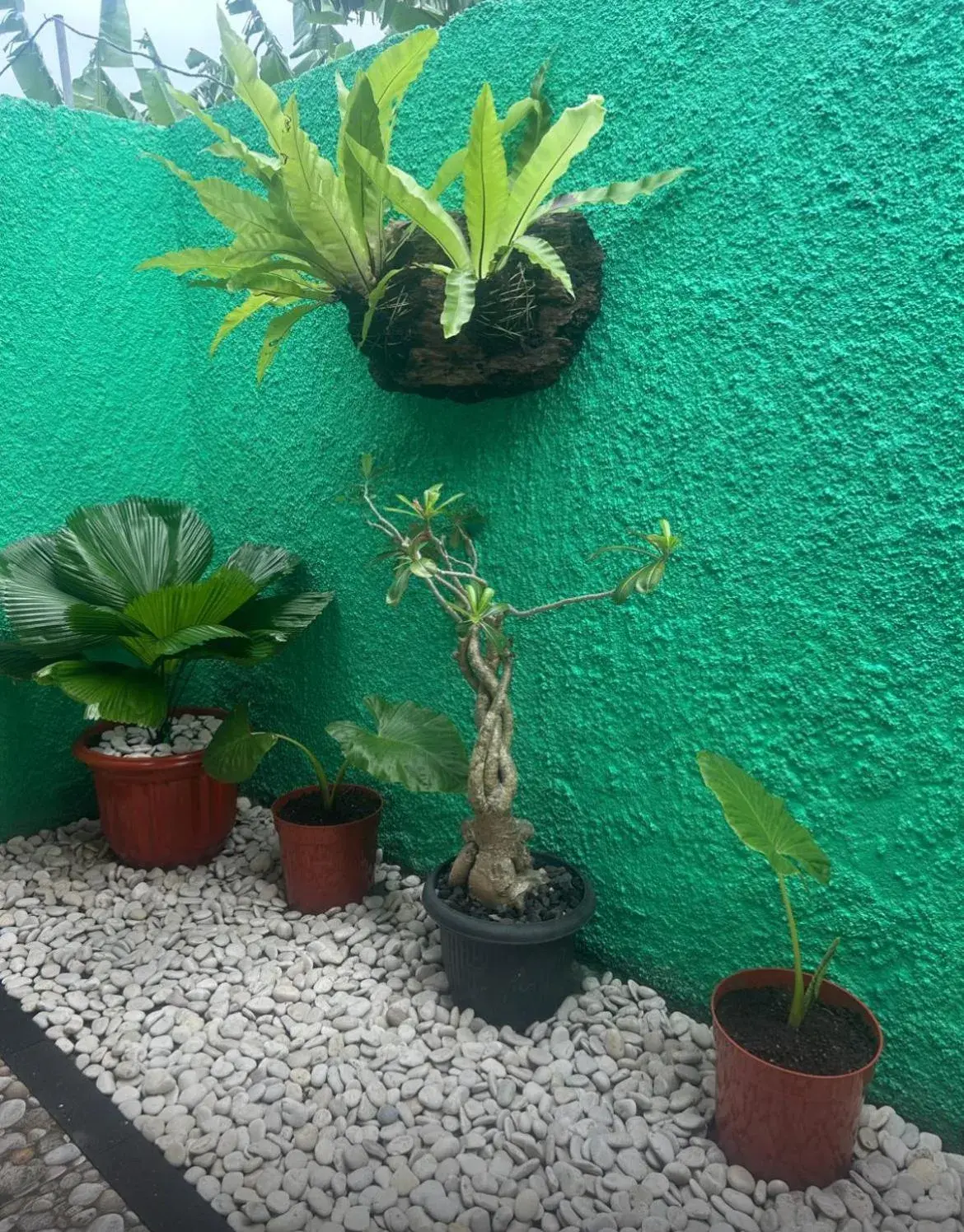 Bathroom in Island Garden Huts Lembongan Bathroom in Island Garden Huts Lembongan