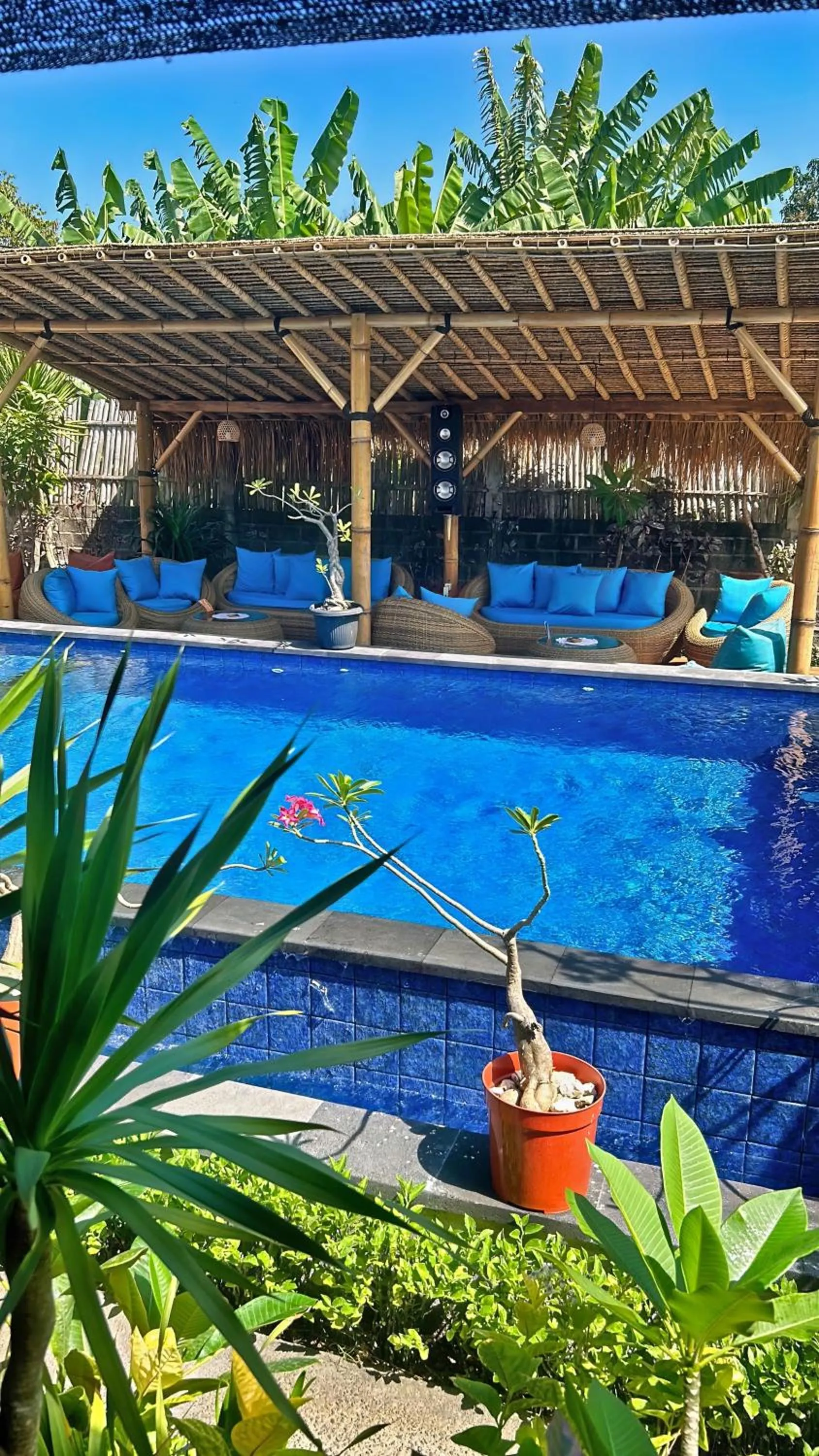 Swimming pool in Island Garden Huts Lembongan