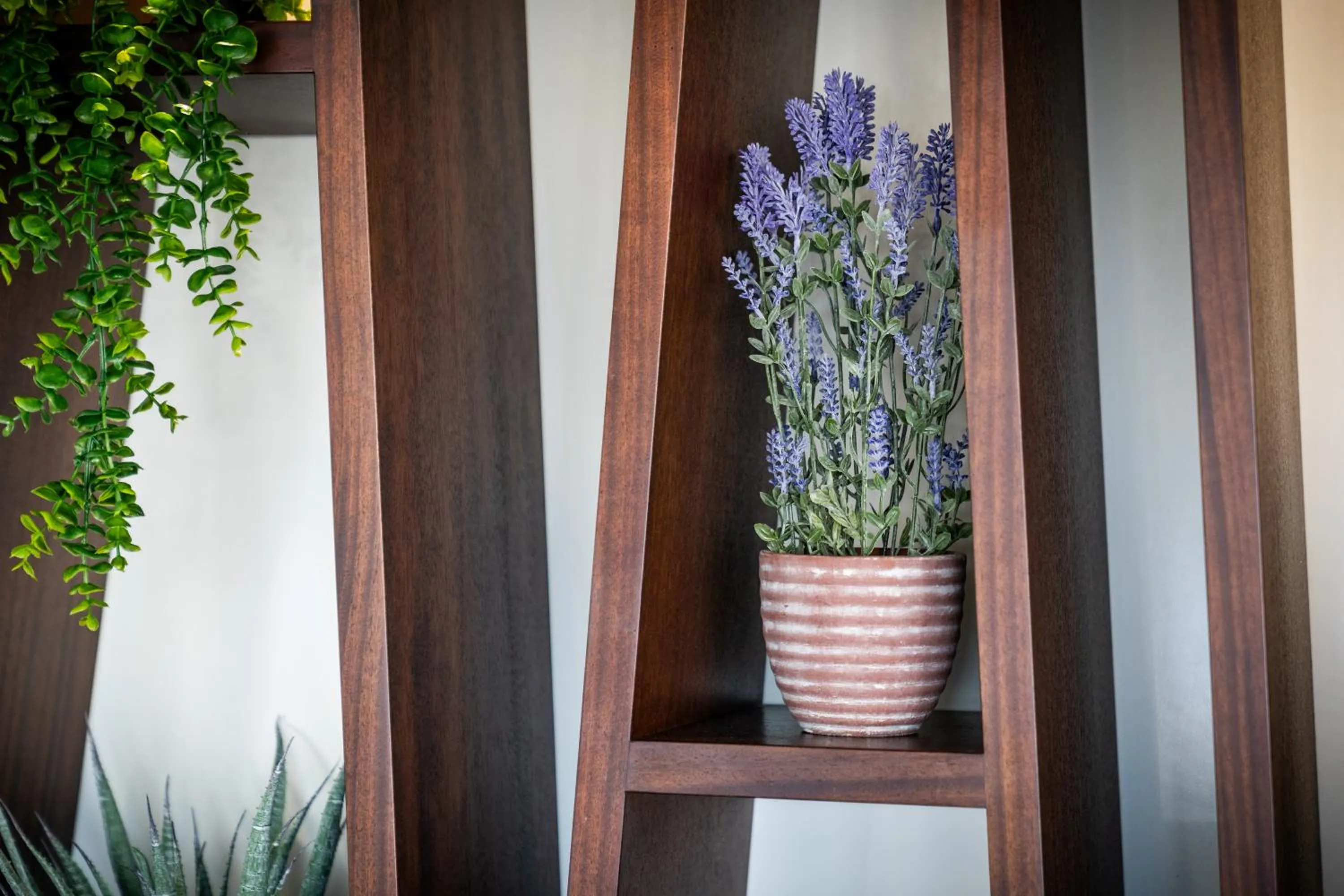 Restaurant/places to eat in Holiday Inn Express Cambridge Duxford M11 Jct 10, an IHG Hotel